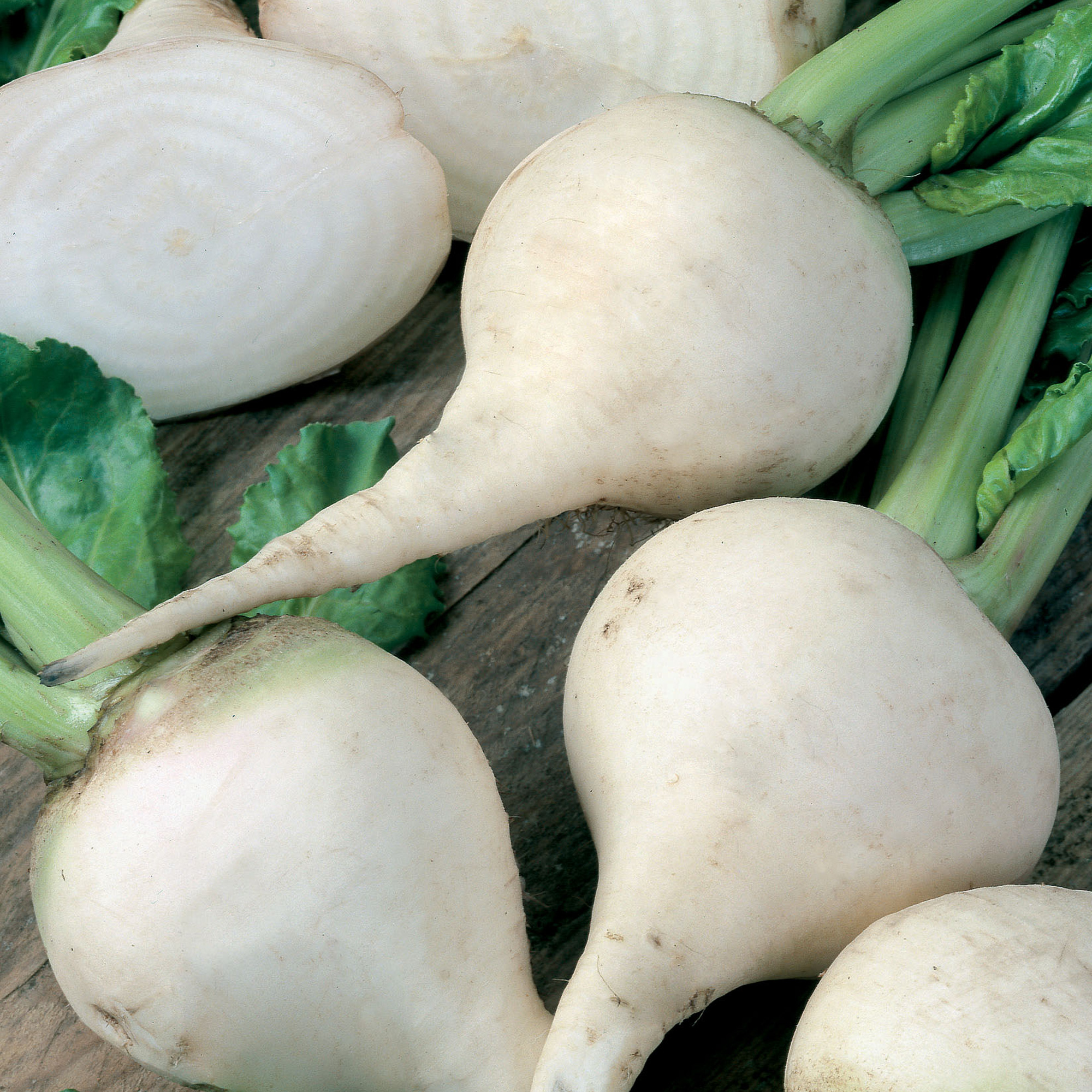 White Albino Beet Seeds - 3 g Packet - Heirloom - Vegetable Gardening