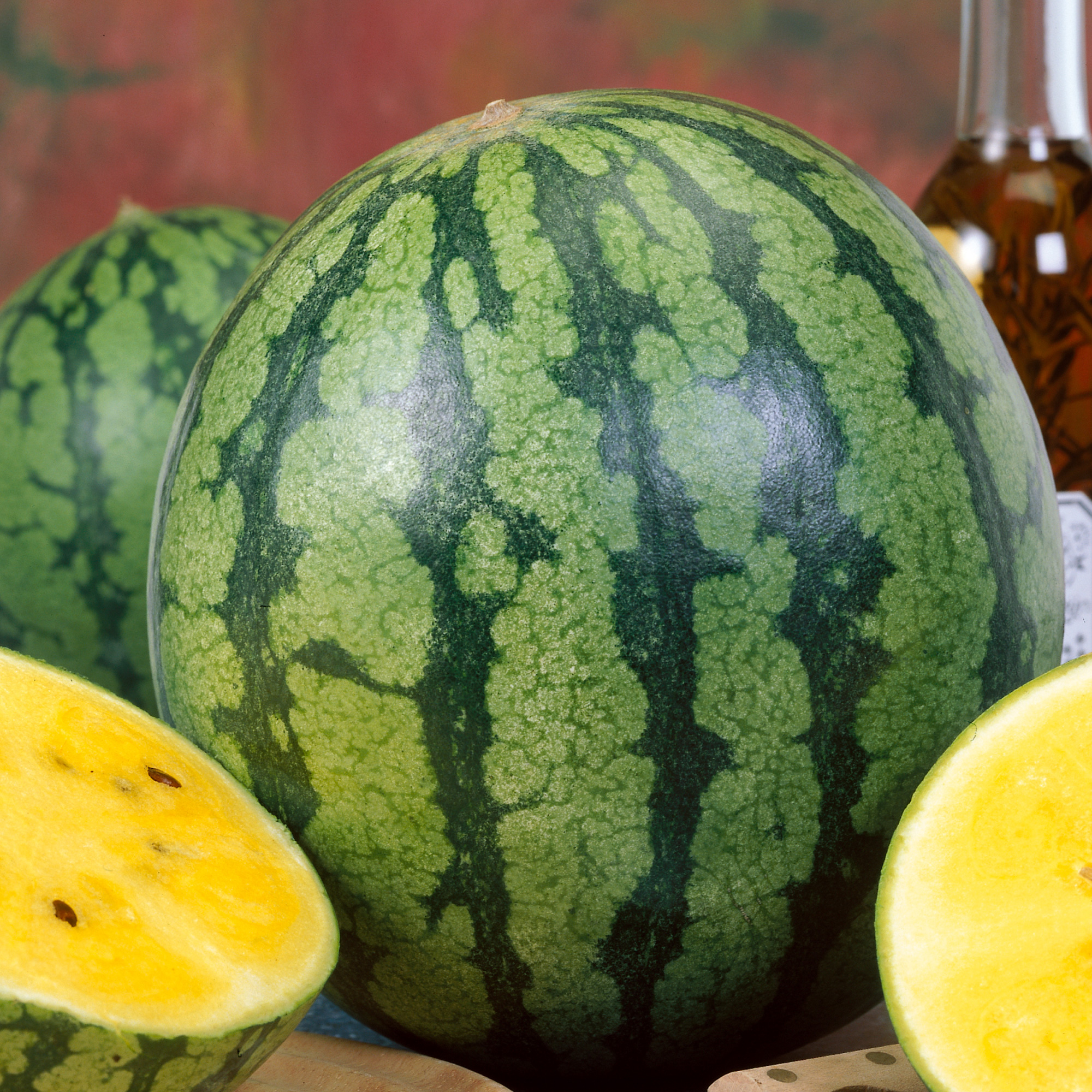 Yellow Gem Sweet Watermelon Seeds - 1 Oz - Fruit Garden