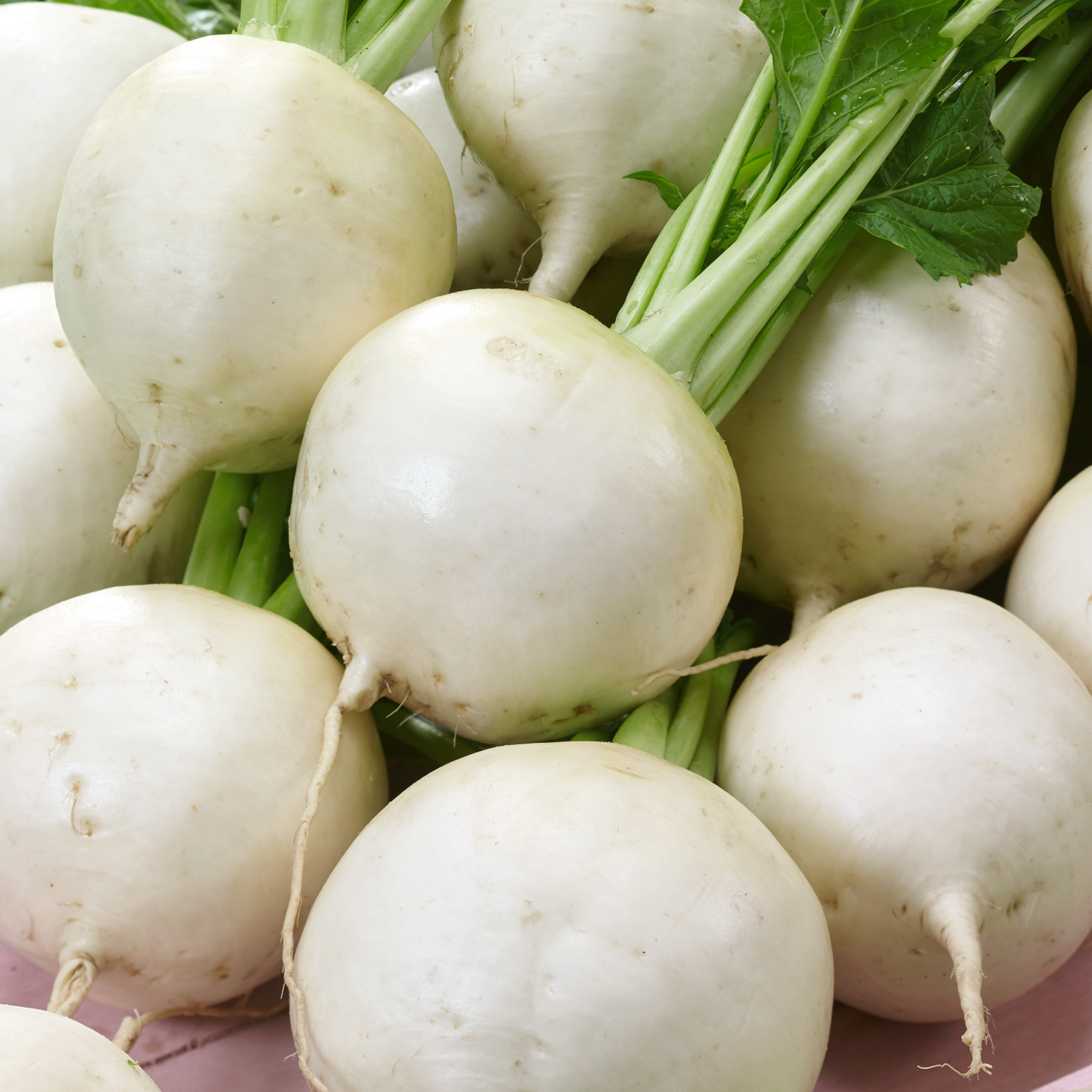 Snowball Turnip Seeds - 25 Lb Bulk - Vegetable Garden - Non-GMO