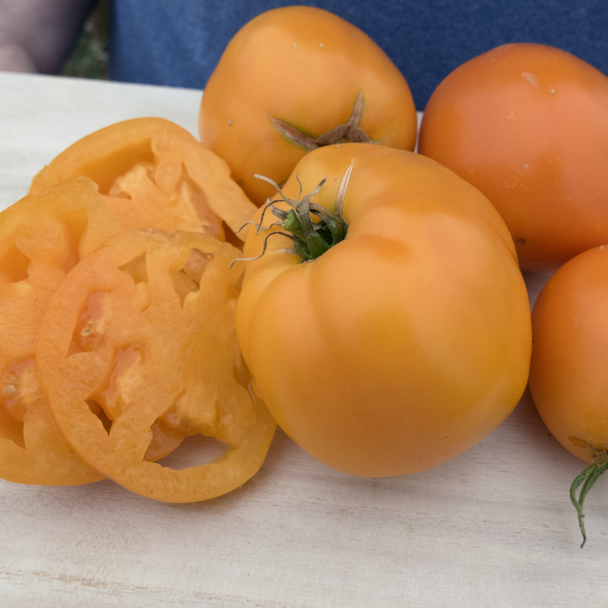 Valencia Tomato Seeds - 0.25 Oz - Heirloom - Vegetable Garden