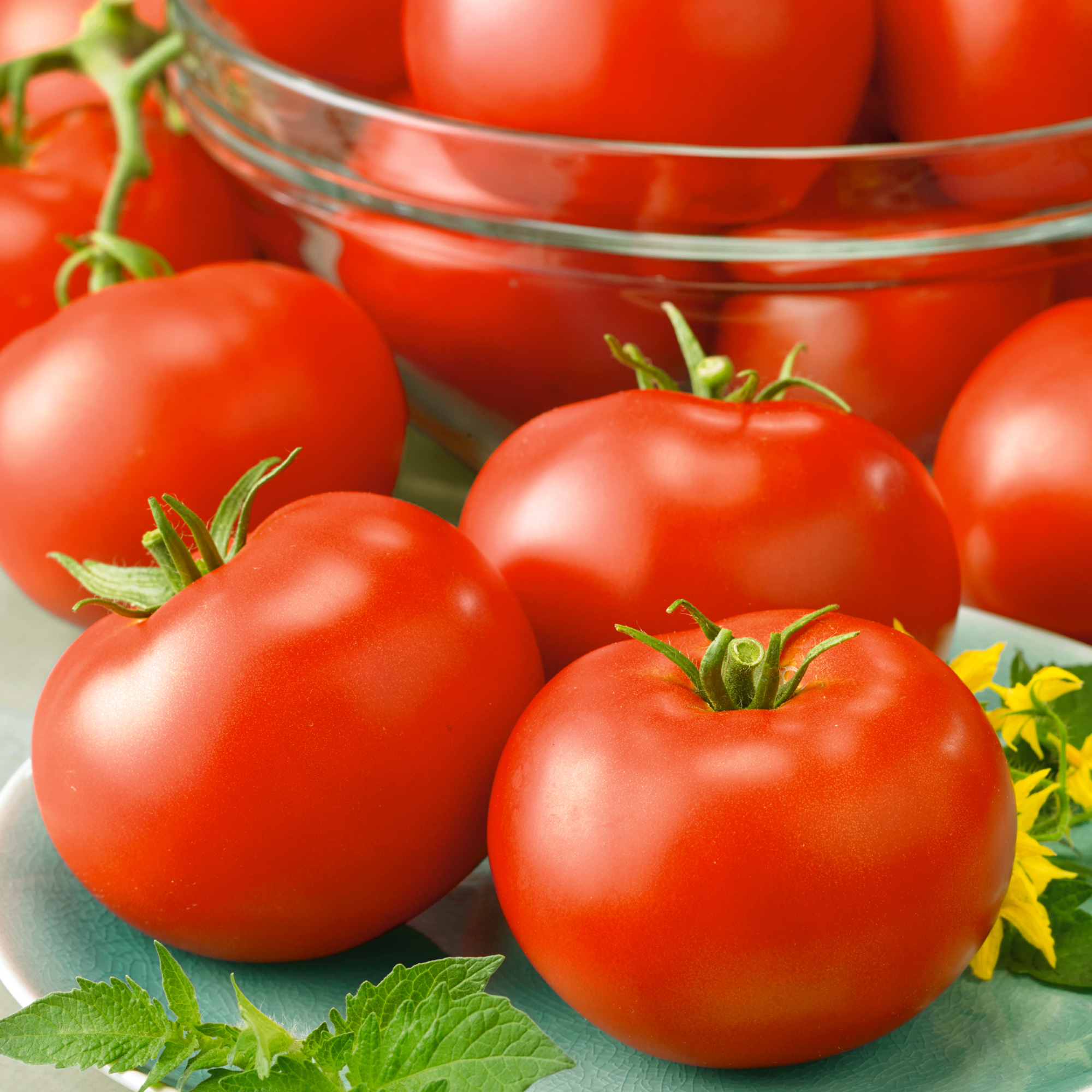 Red Horizon Tomato Seeds - 300 Mg Packet - Heirloom - Vegetable Garden