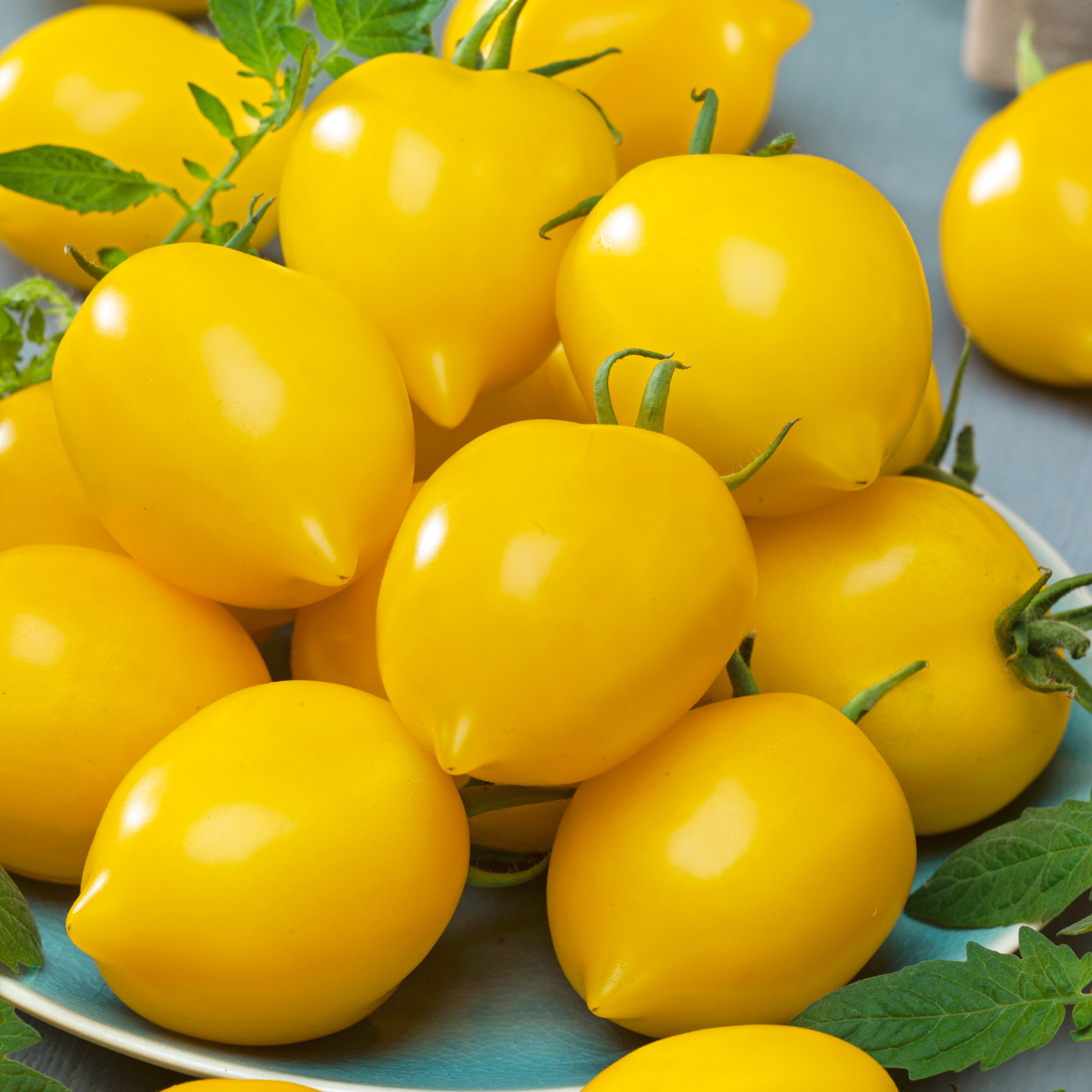 Plum Lemon Tomato Seeds - 300 Mg Packet - Heirloom - Vegetable Garden