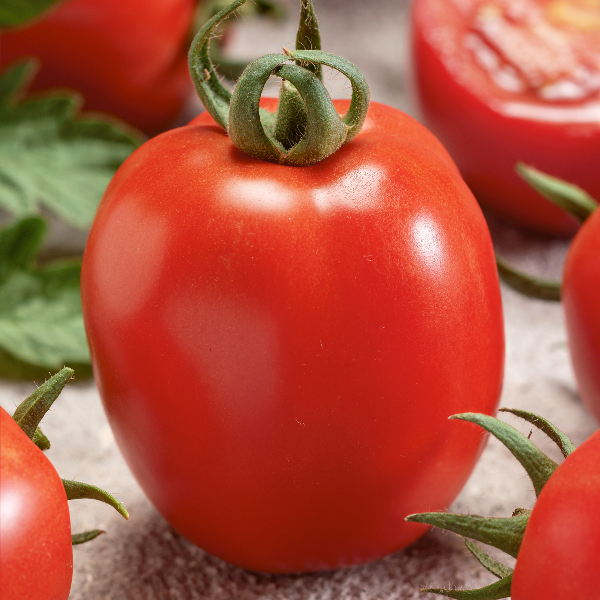 Micado Violetter Tomato Seeds - 1 Lb - Heirloom - Vegetable Garden