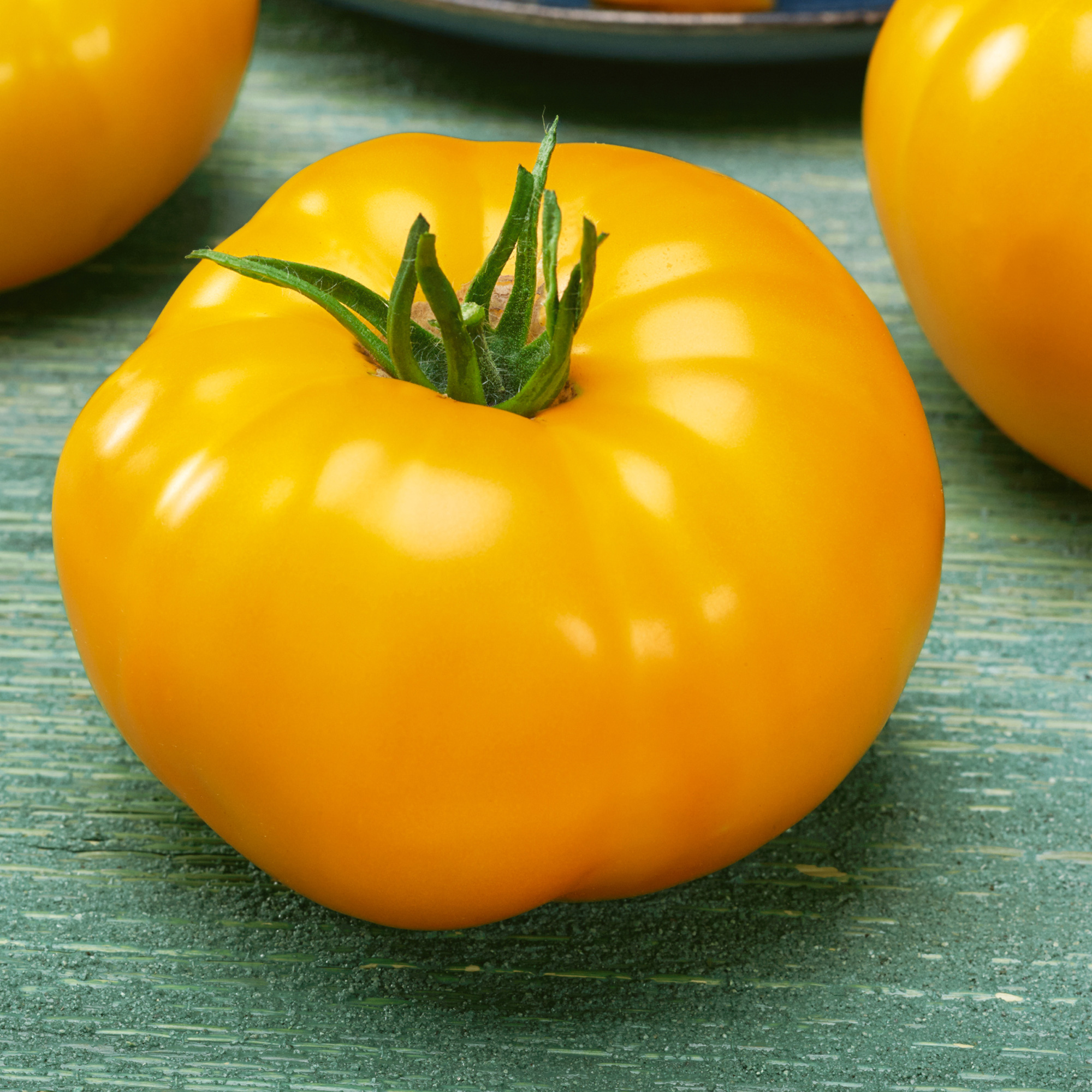 Djena Lee's Golden Girl Tomato Seeds - 300 Mg Pack - Heirloom -Garden