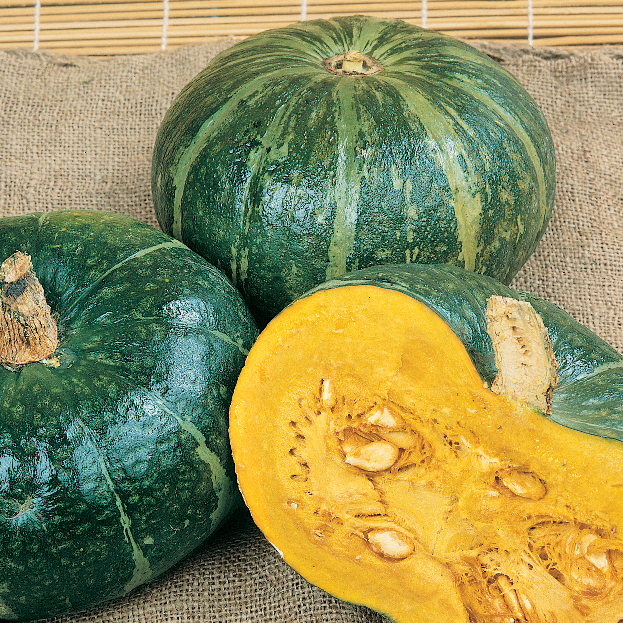 Burgess Buttercup Bush Winter Squash Seeds - 5 Lb Bulk - Farm & Garden