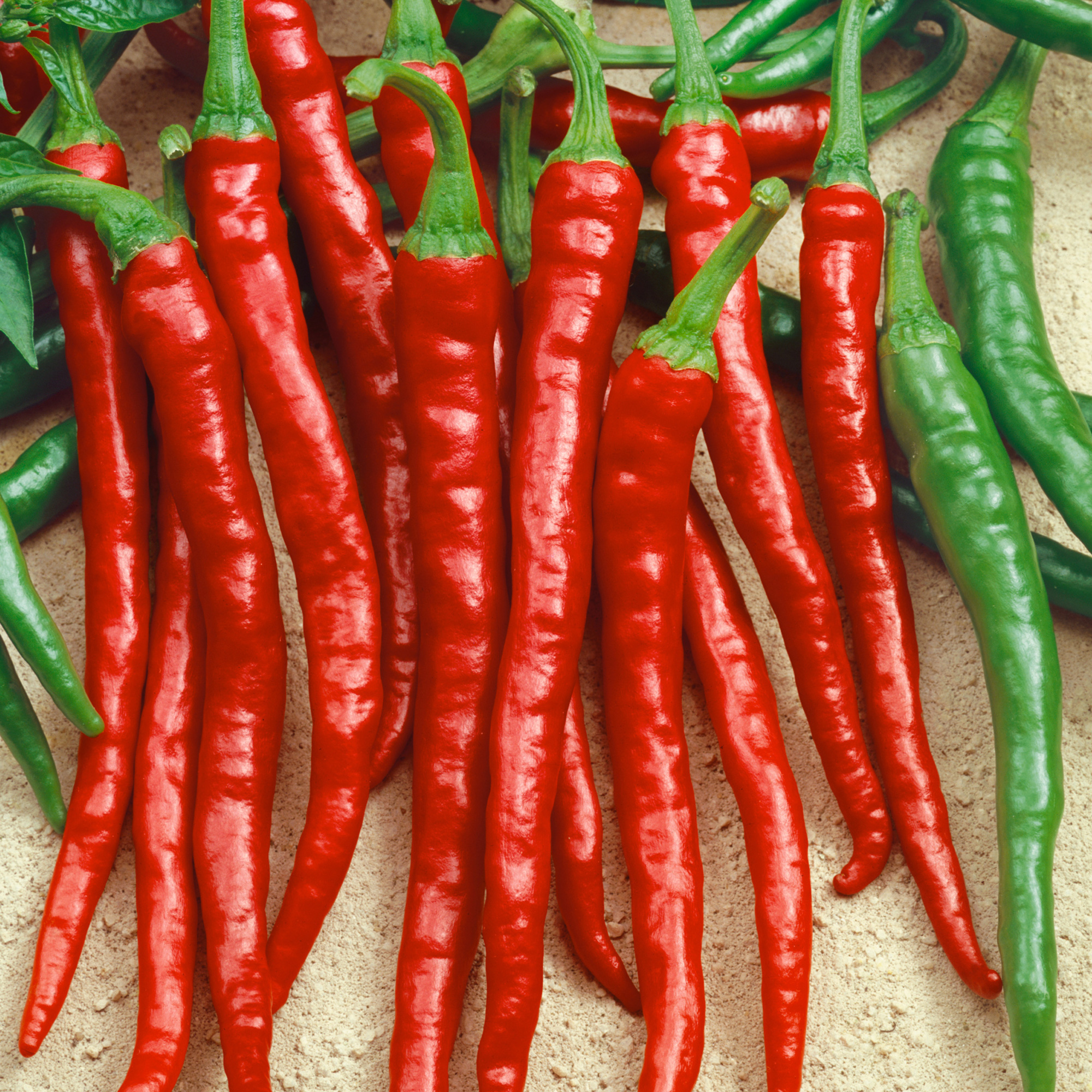 Sweet Cayenne Sweet Pepper Seeds - 300 Mg Packet - Vegetable Garden