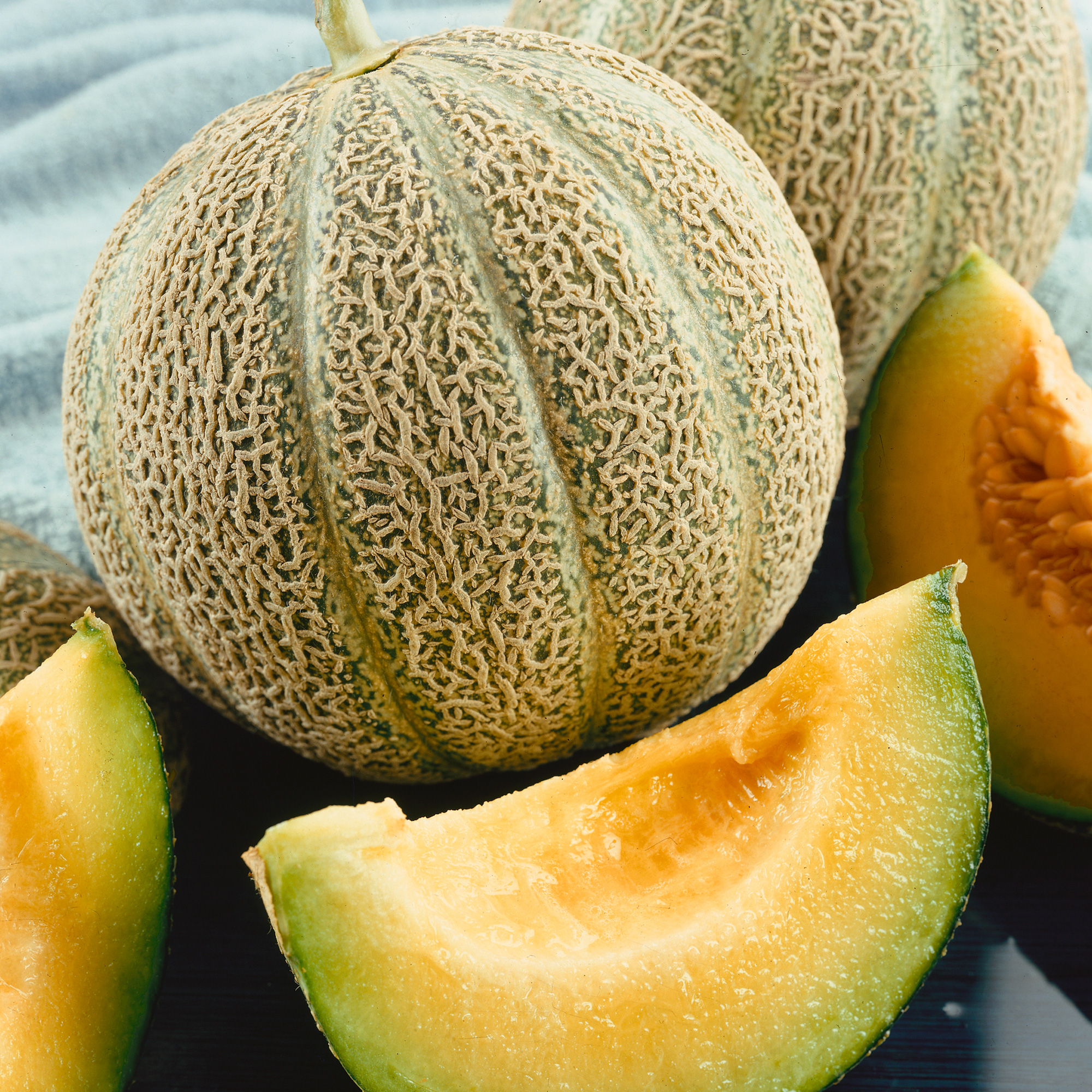 Jenny Lind Melon Seeds - 3 g Packet - Heirloom - Fruit Garden