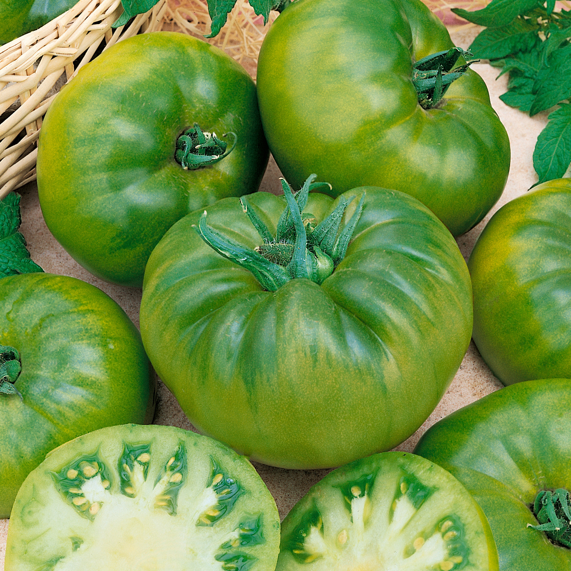 Cherokee Green Tomato Seeds - 4 Oz - Heirloom - Vegetable Garden