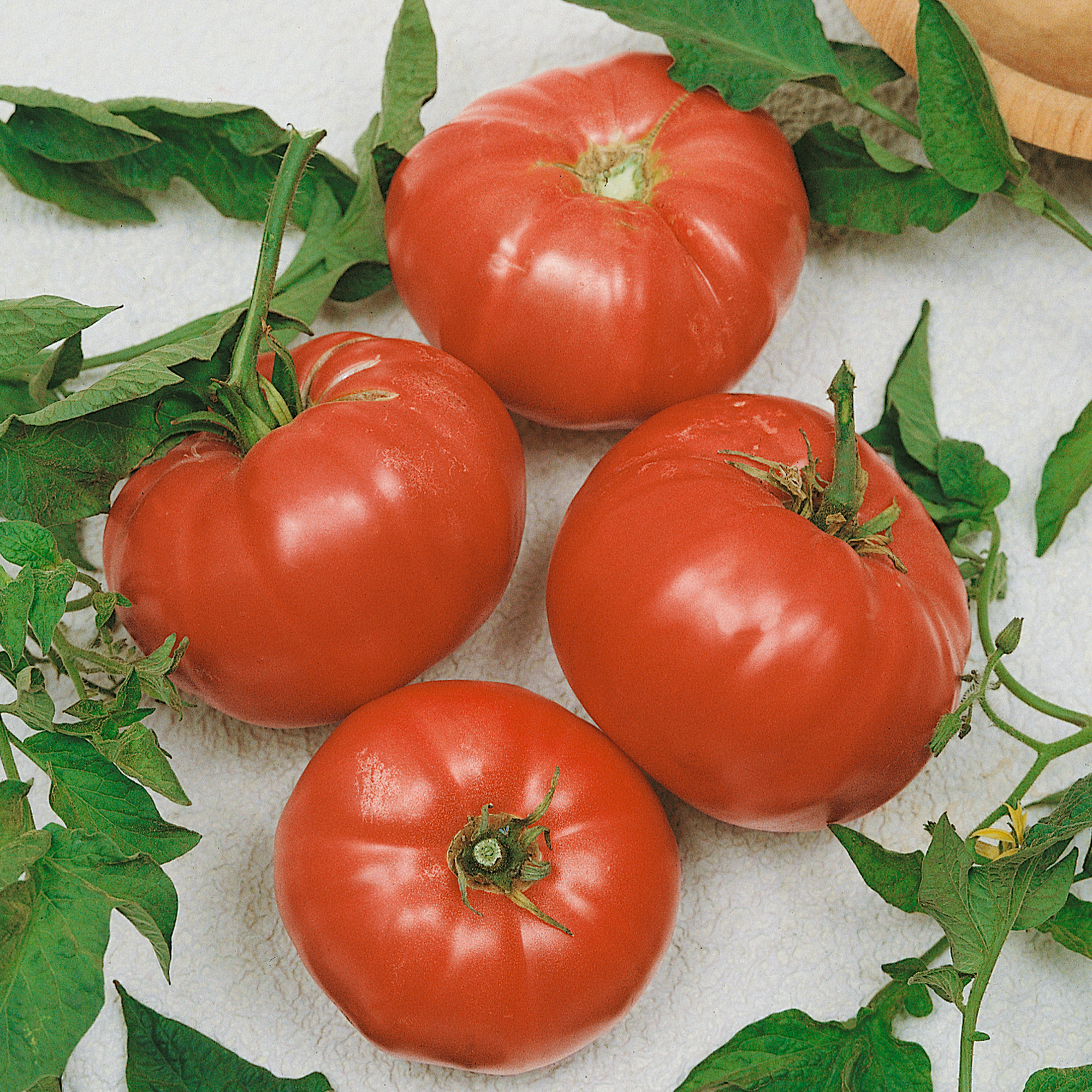 Watermelon Beefsteak Tomato Seeds - 300 Mg Packet - Heirloom - Garden