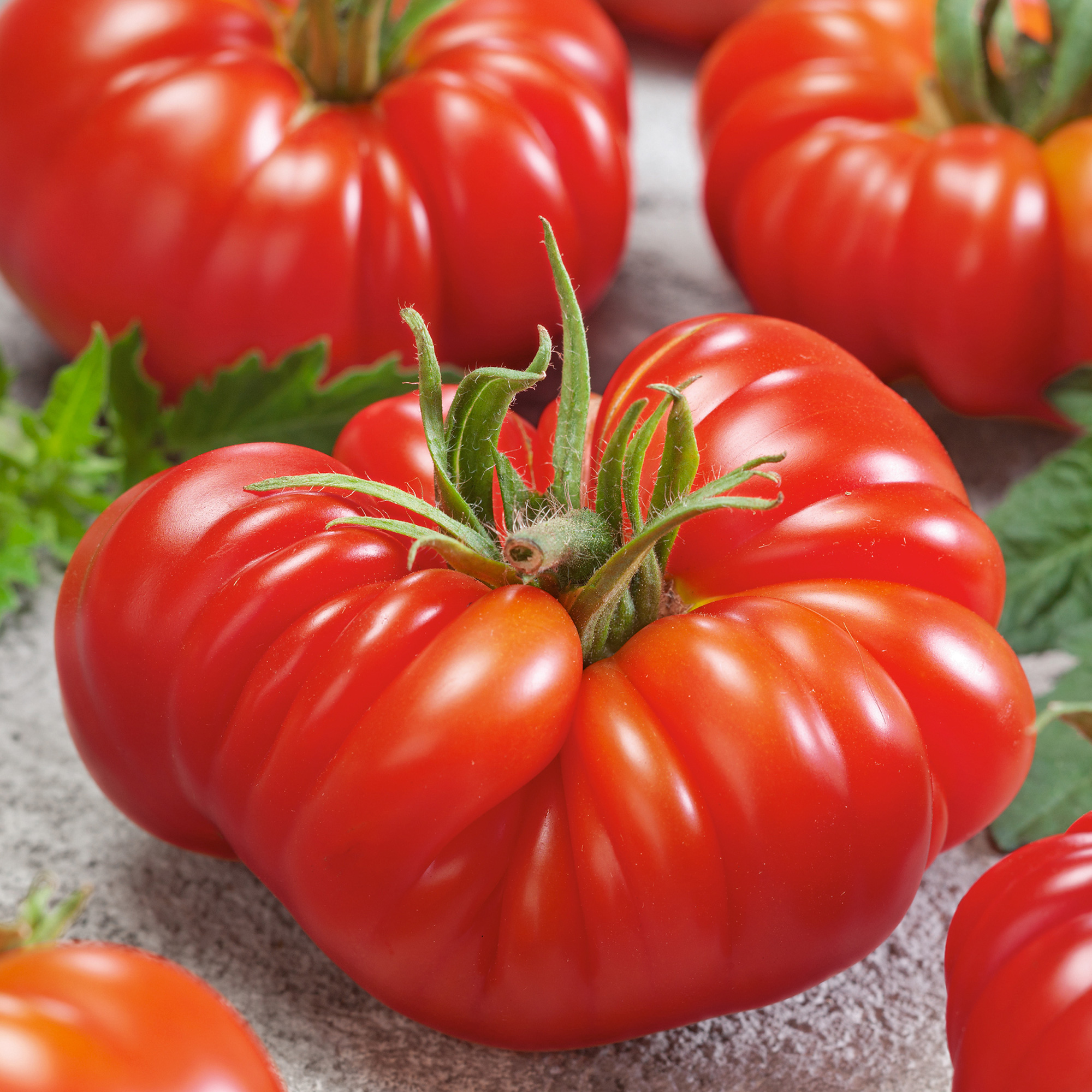 Zapotec Oaxacan Ribbed Tomato Seeds - 4 Oz - Vegetable Garden