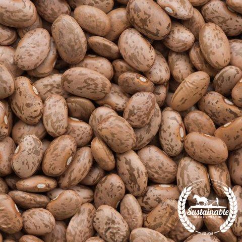 Organic Pinto Beans - 15 g Packet ~22 Seeds - Bean Seeds for Planting - Buy Non-GMO Phaseolus vulgaris Farm & Gardening Seeds On