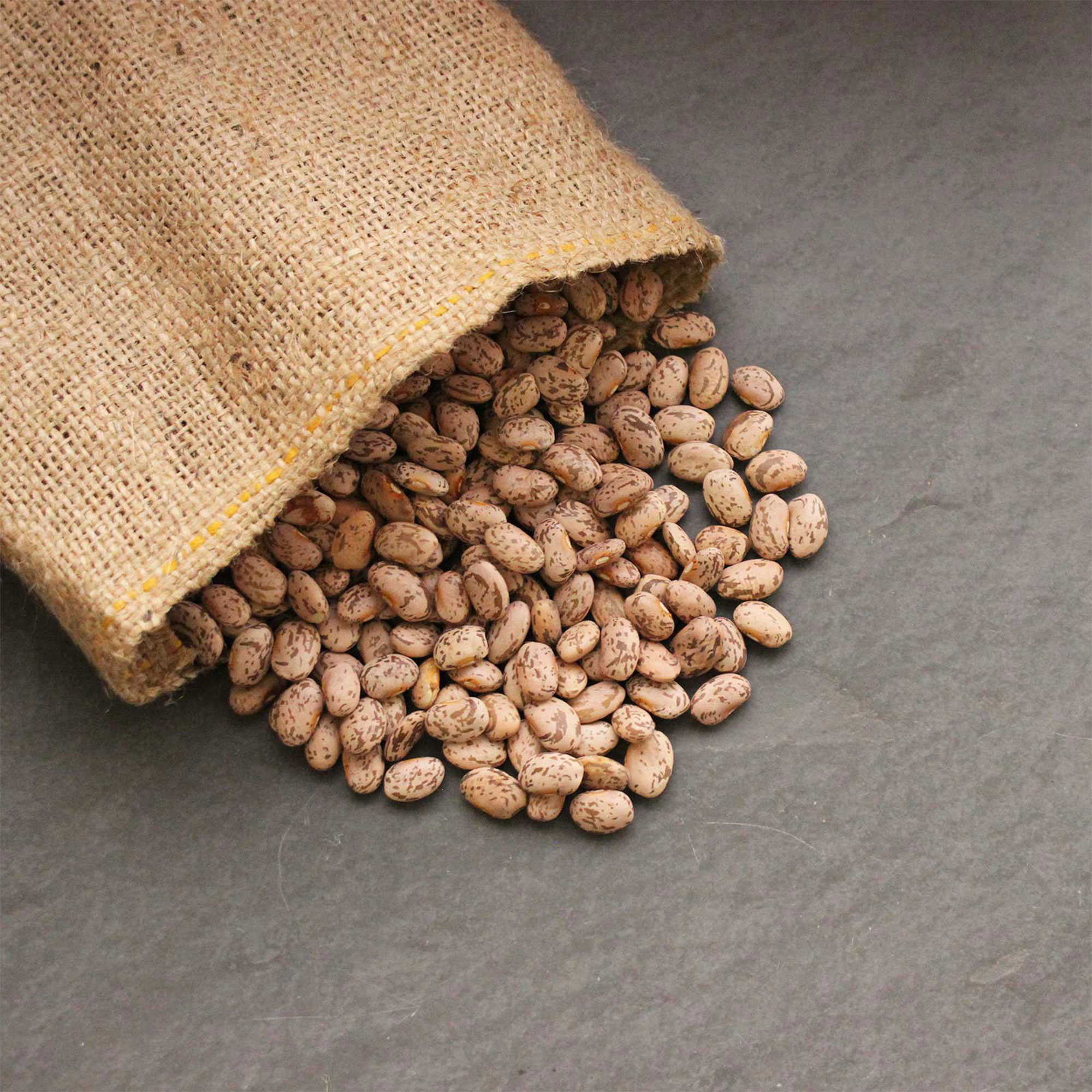 Organic Pinto Beans - 15 g Packet ~22 Seeds - Bean Seeds for Planting - Buy Non-GMO Phaseolus vulgaris Farm & Gardening Seeds On