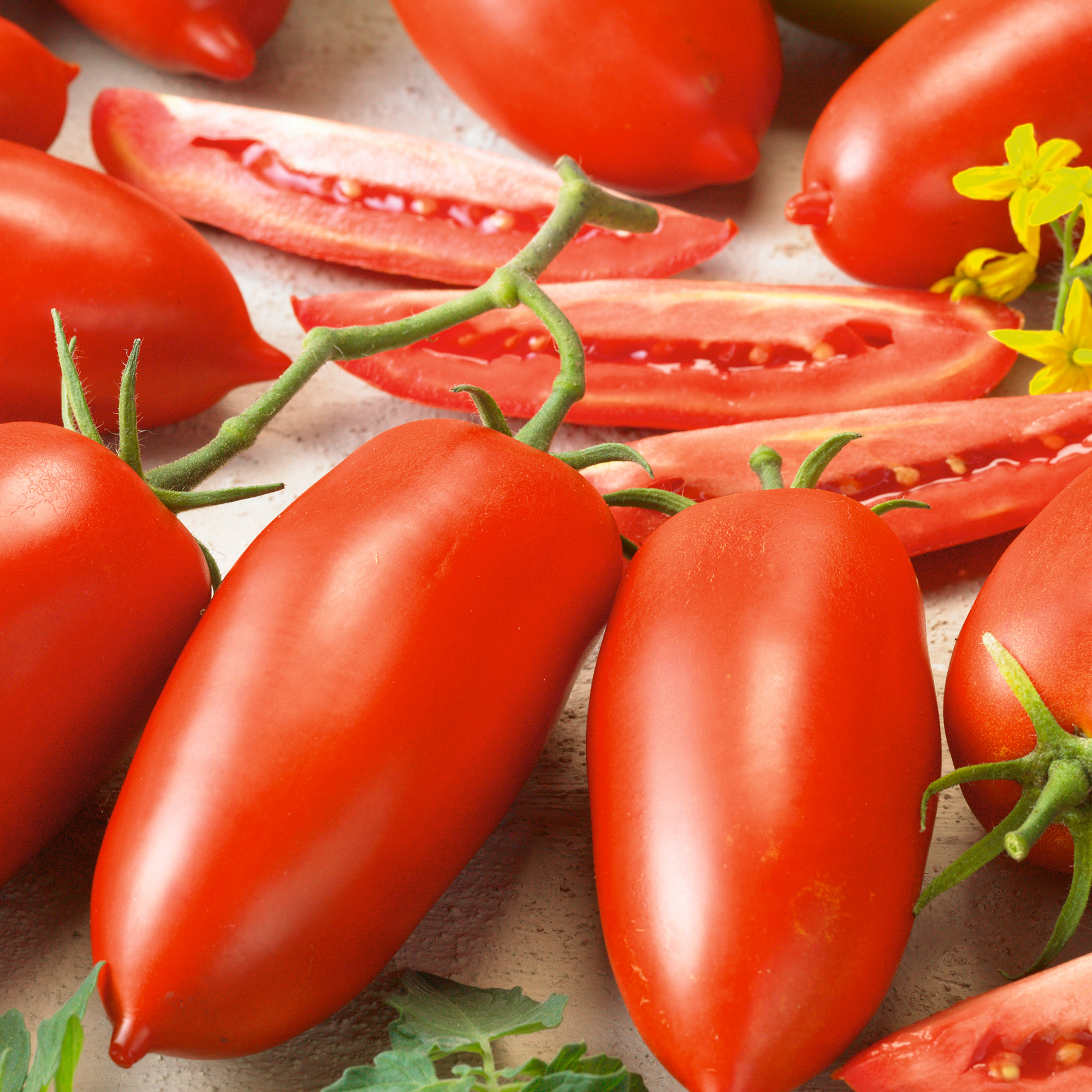 Super Italian Paste Tomato Seeds - 4 Oz - Heirloom - Vegetable Garden