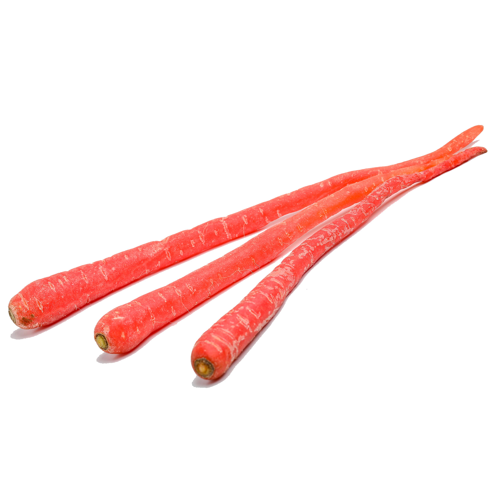 Carrot Seeds - Samurai Red -1 Oz ~25000 Seeds - Non-GMO, Heirloom - Asian Garden Vegetable