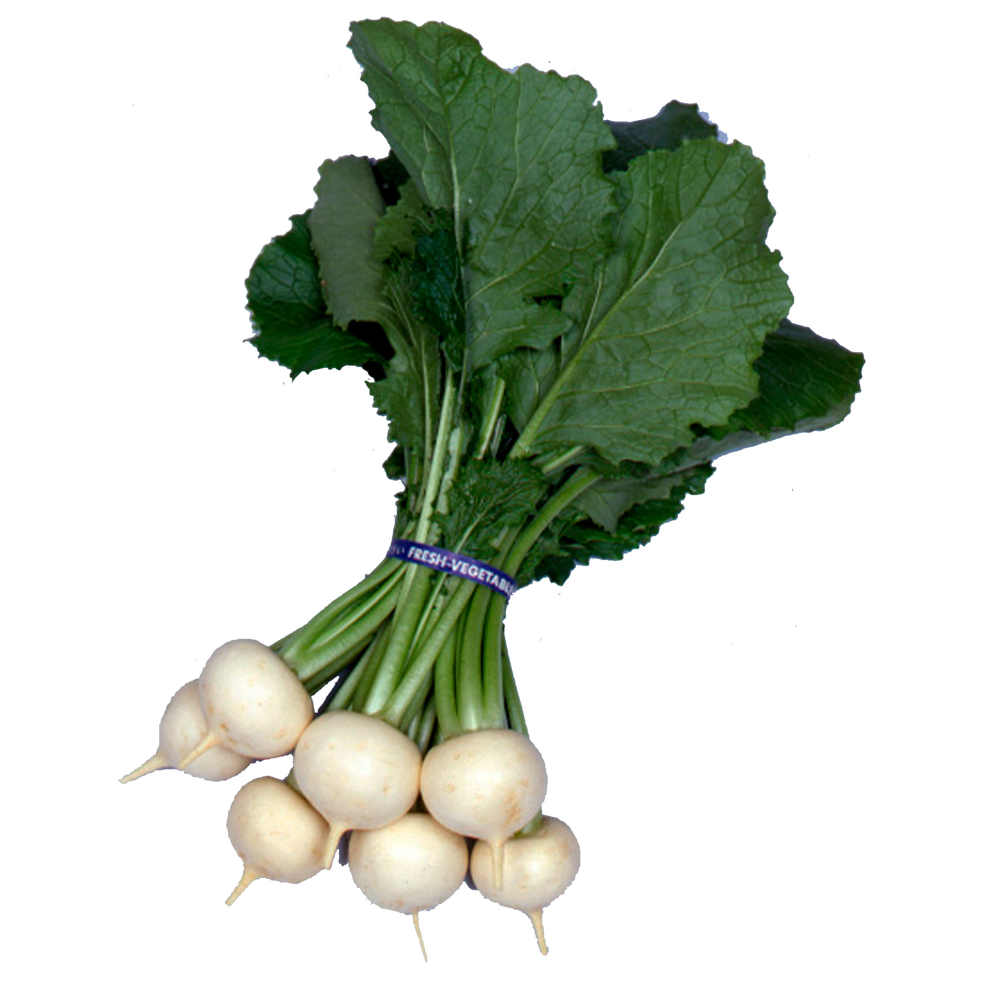 Turnip Seeds - Kanamachi -3 g Packet ~972 Seeds - Non-GMO, Heirloom - Asian Garden Vegetable & Microgreens