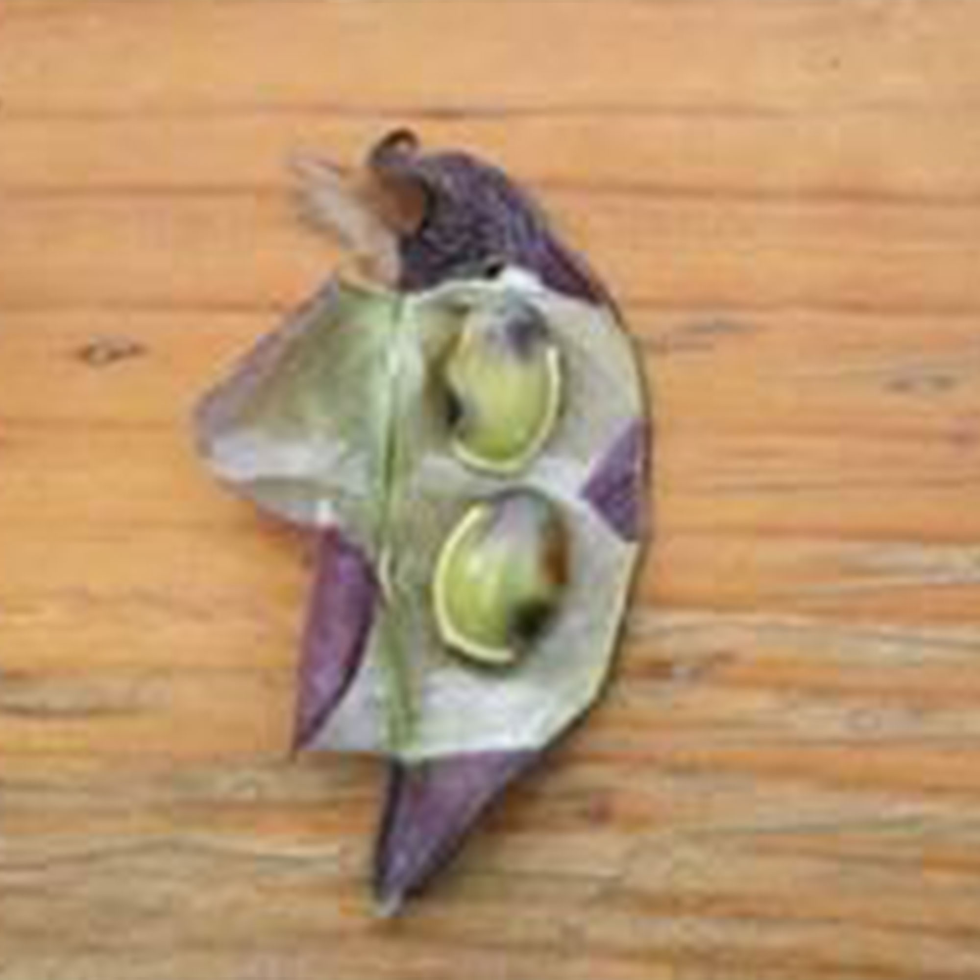 Hyacinth Bean - Purple Moon -4 Oz ~600 Seeds - Non-GMO, Heirloom - Asian Garden Vegetable & Flower