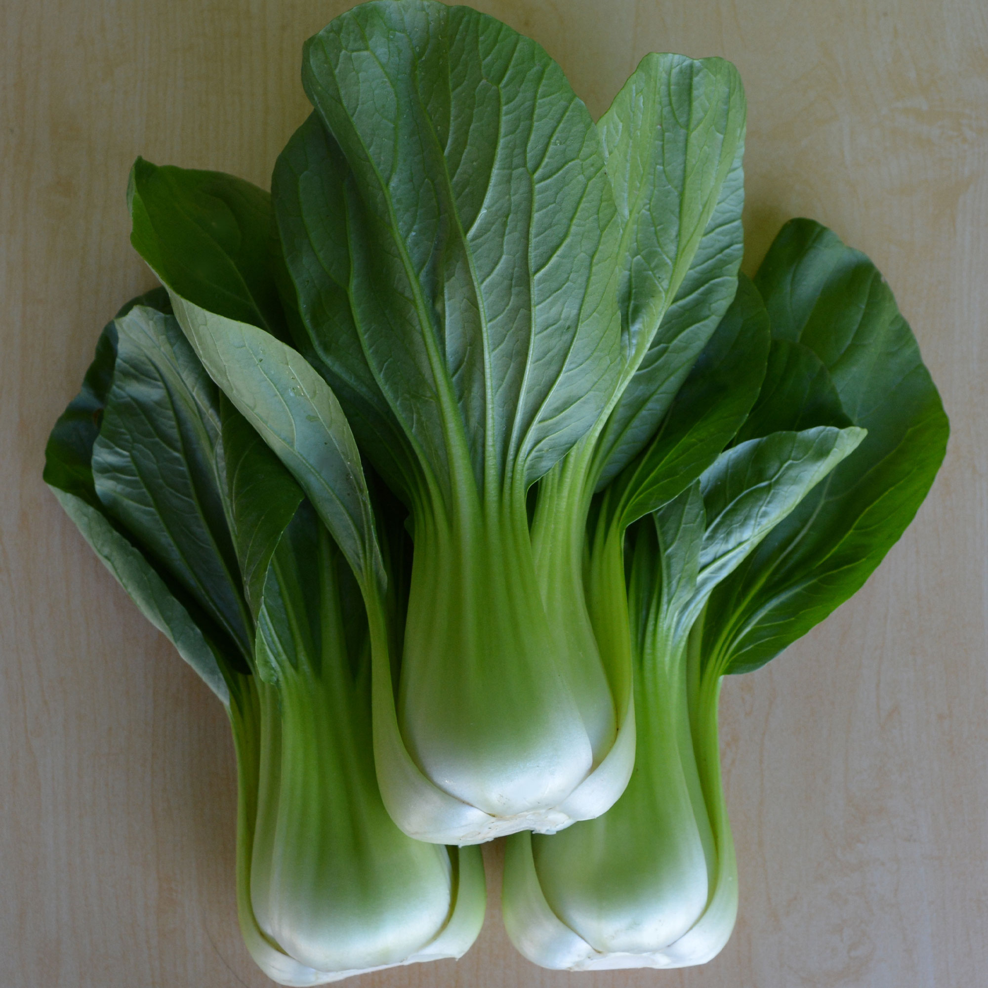 Cabbage Seeds - Pak Choi - Hotau - Hybrid -5 Lb Bulk ~760000 Seeds ...