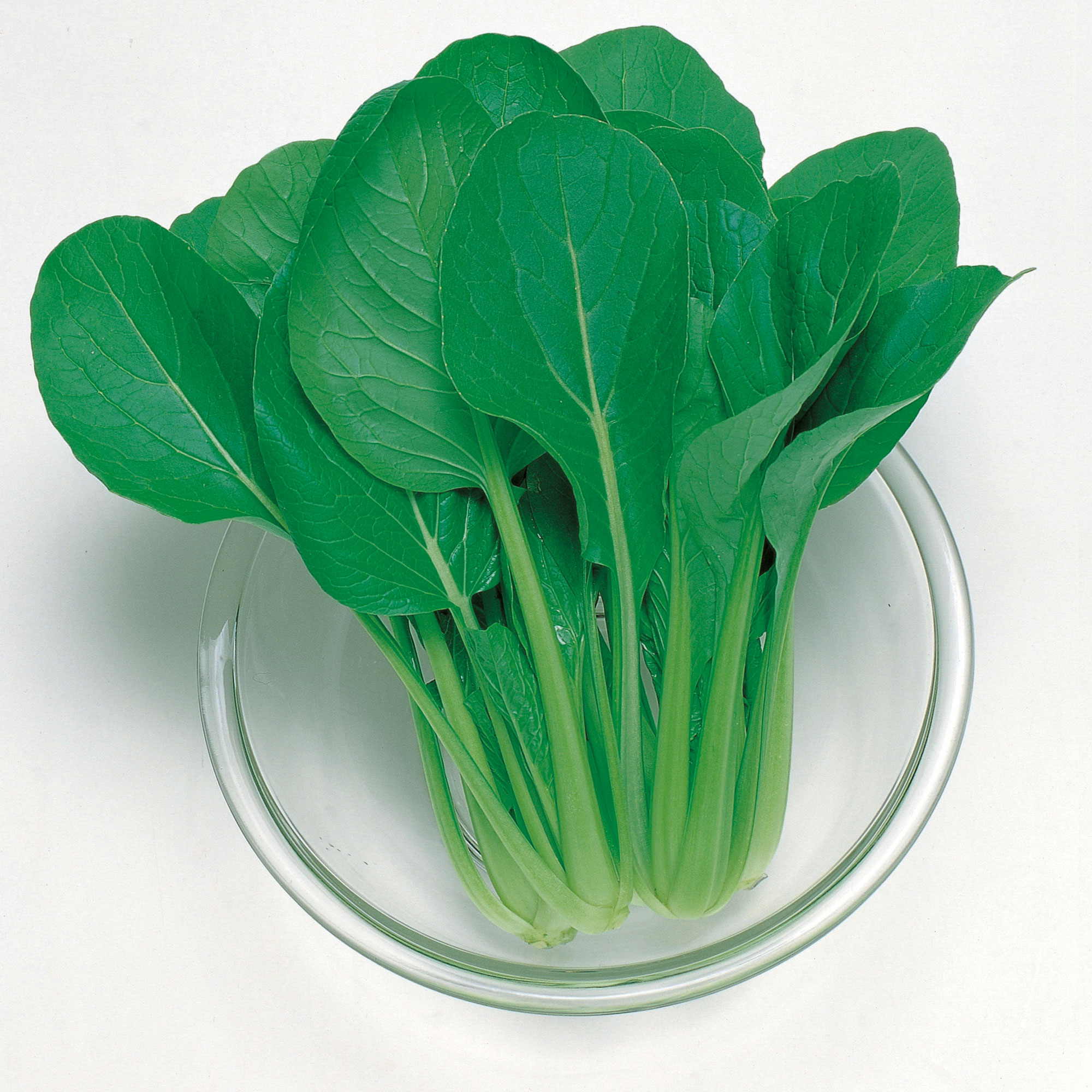 Komatsuna Mustard Seeds - Green Boy - Hybrid -1 g Packet ~405 Seeds - Non-GMO, F1 Hybrid - Asian Garden Vegetable & Herb Gardeni