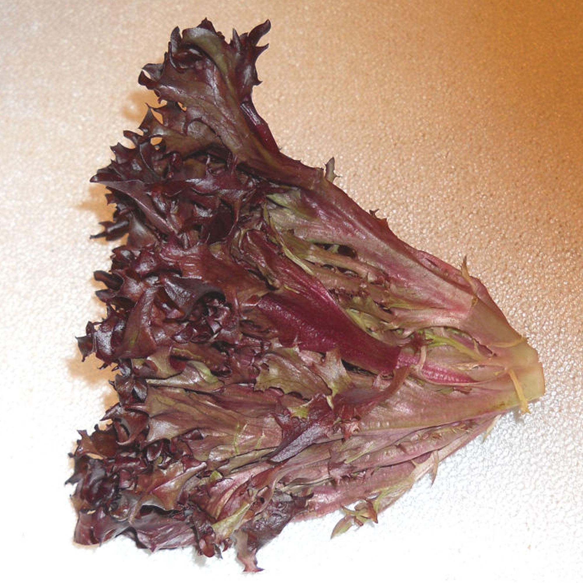 Lettuce Seeds, Leaf - Red Tango -4 Oz ~100000 Seeds - Non-GMO, Heirloom - Vegetable Garden & Microgreens