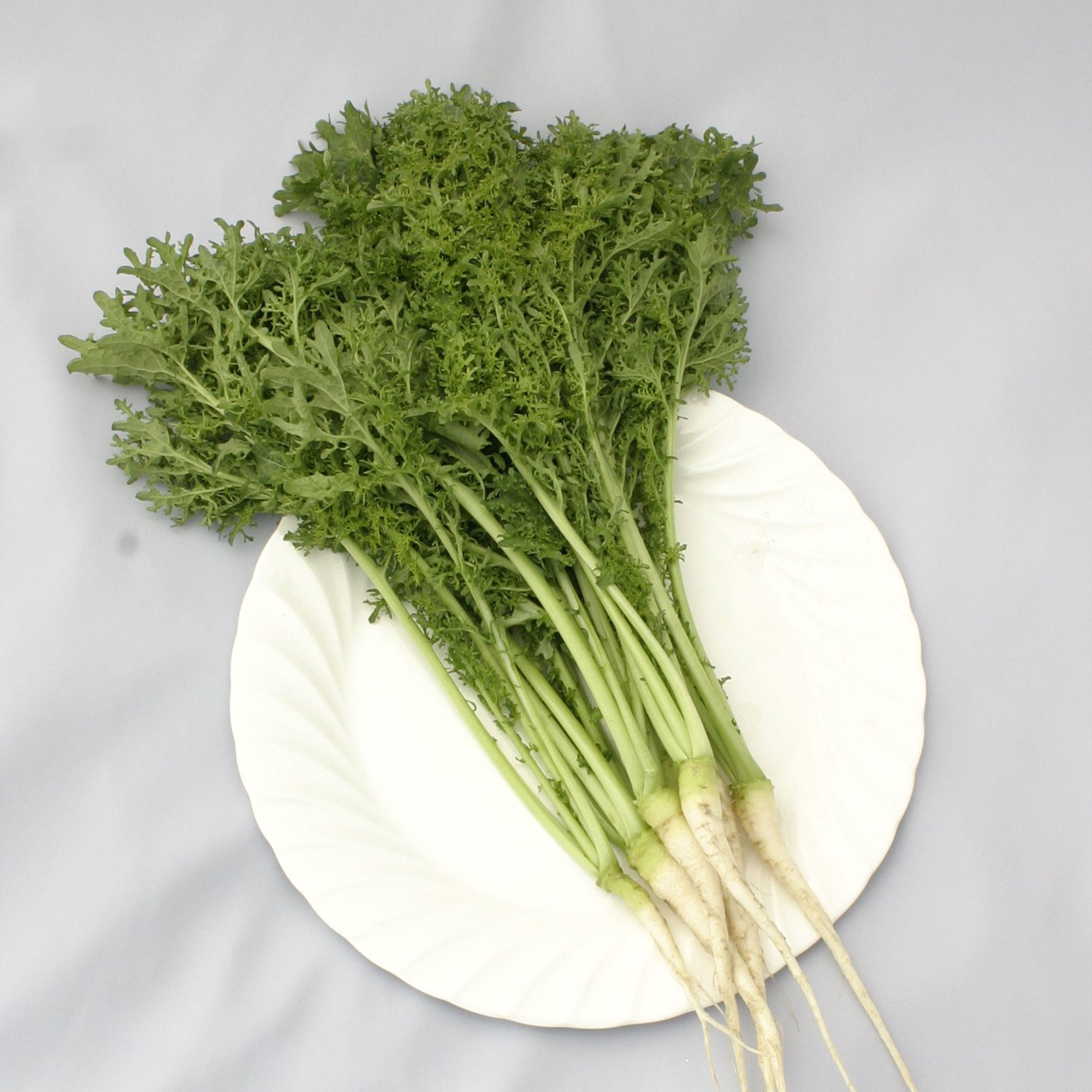 Mustard Seeds - Golden Frill -1 Lb ~120000 Seeds - Non-GMO, Heirloom - Vegetable Garden & Microgreens