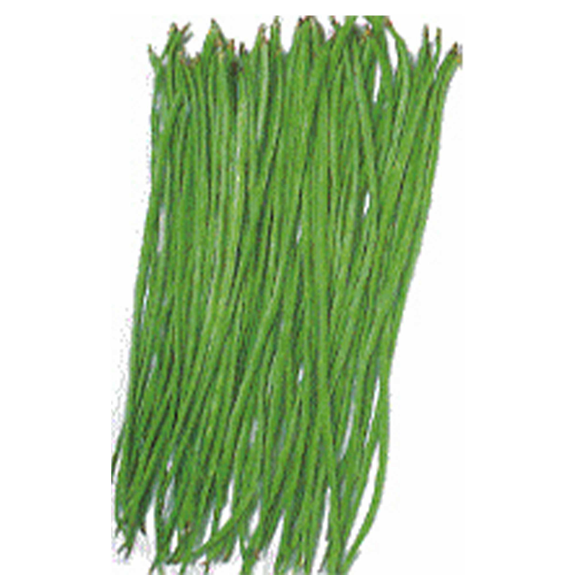 Yard Long Bean - Akasanjaku -1 Lb ~2880 Seeds - Non-GMO, Heirloom - Asian Garden Vegetable