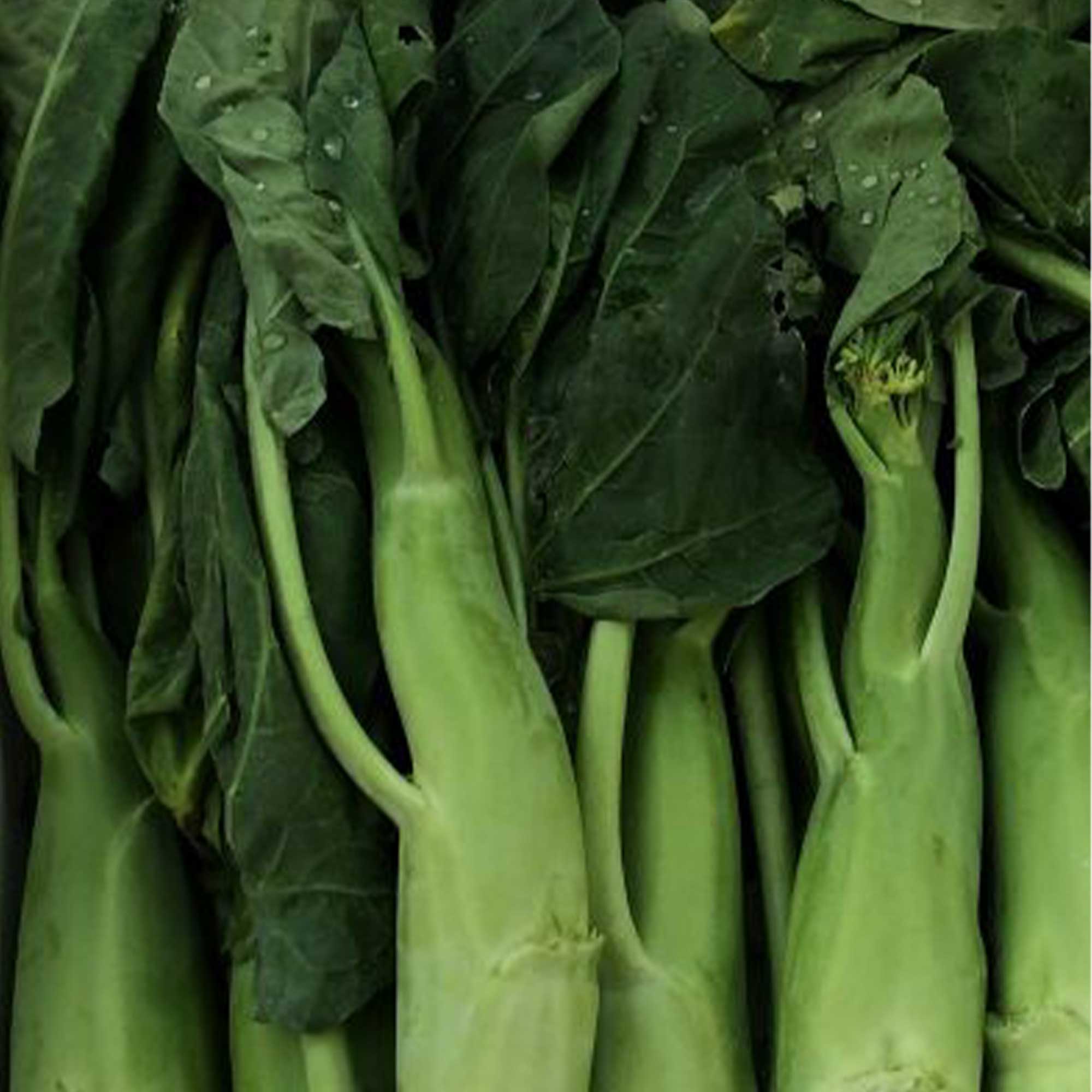 Broccoli Seeds - Chinese Broccoli - Big Stem -1 Lb ~144000 Seeds - Non-GMO, Heirloom - Asian Garden Vegetable & Microgreens