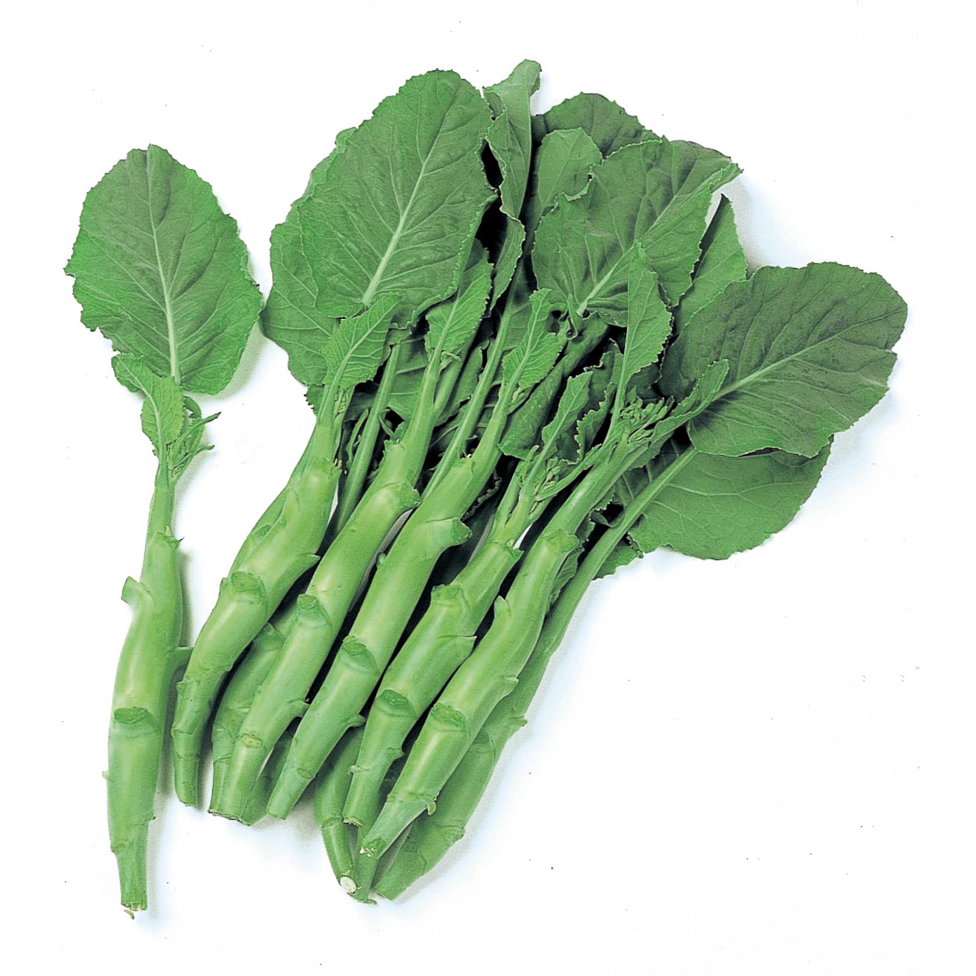 Broccoli Seeds - Chinese Broccoli - Kailaan -1 Oz ~9000 Seeds - Non-GMO, Heirloom - Asian Garden Vegetable & Microgreens