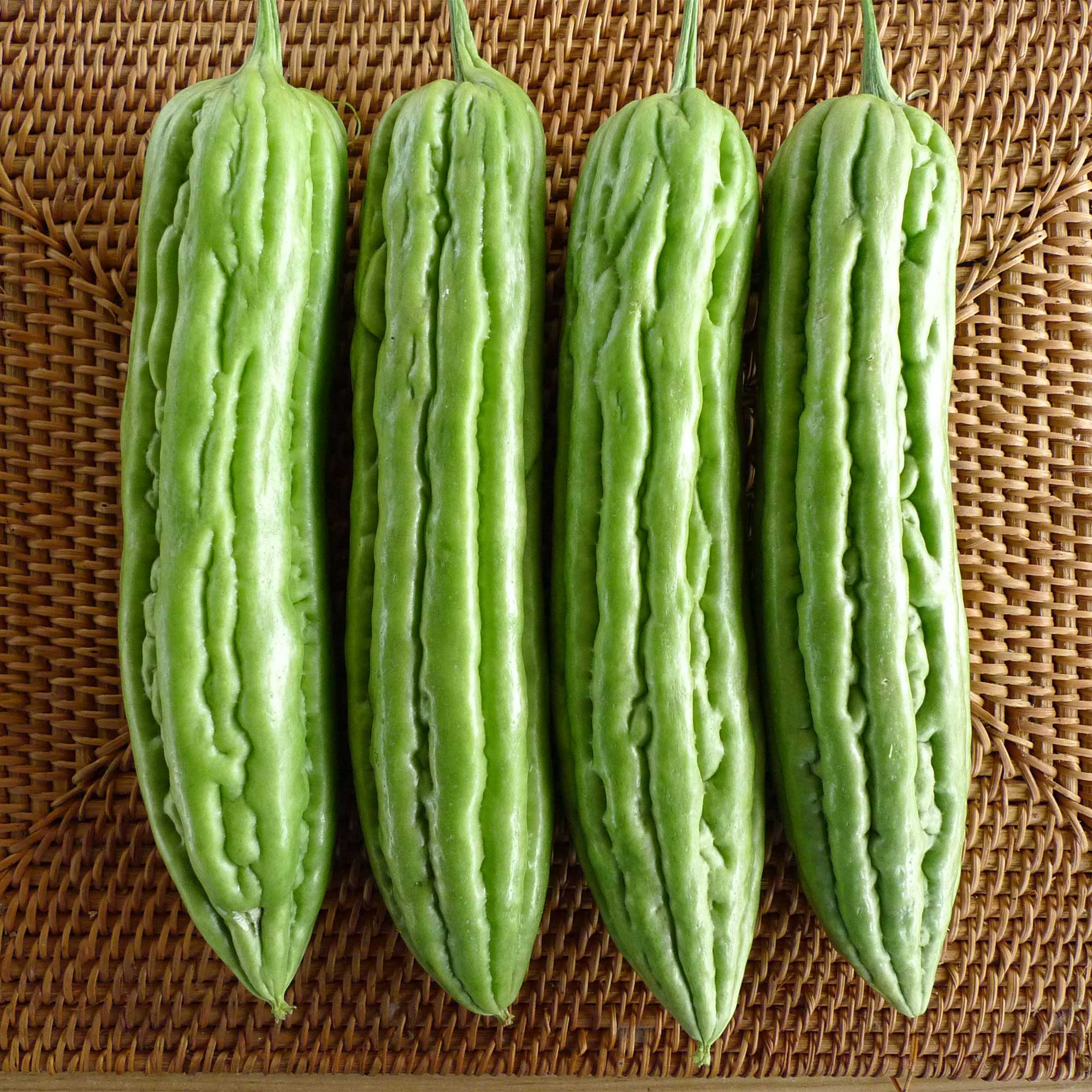 Gourd Seeds - Green Skin -2 g Packet ~10 Seeds - Non-GMO, Heirloom - Asian Garden Vegetable