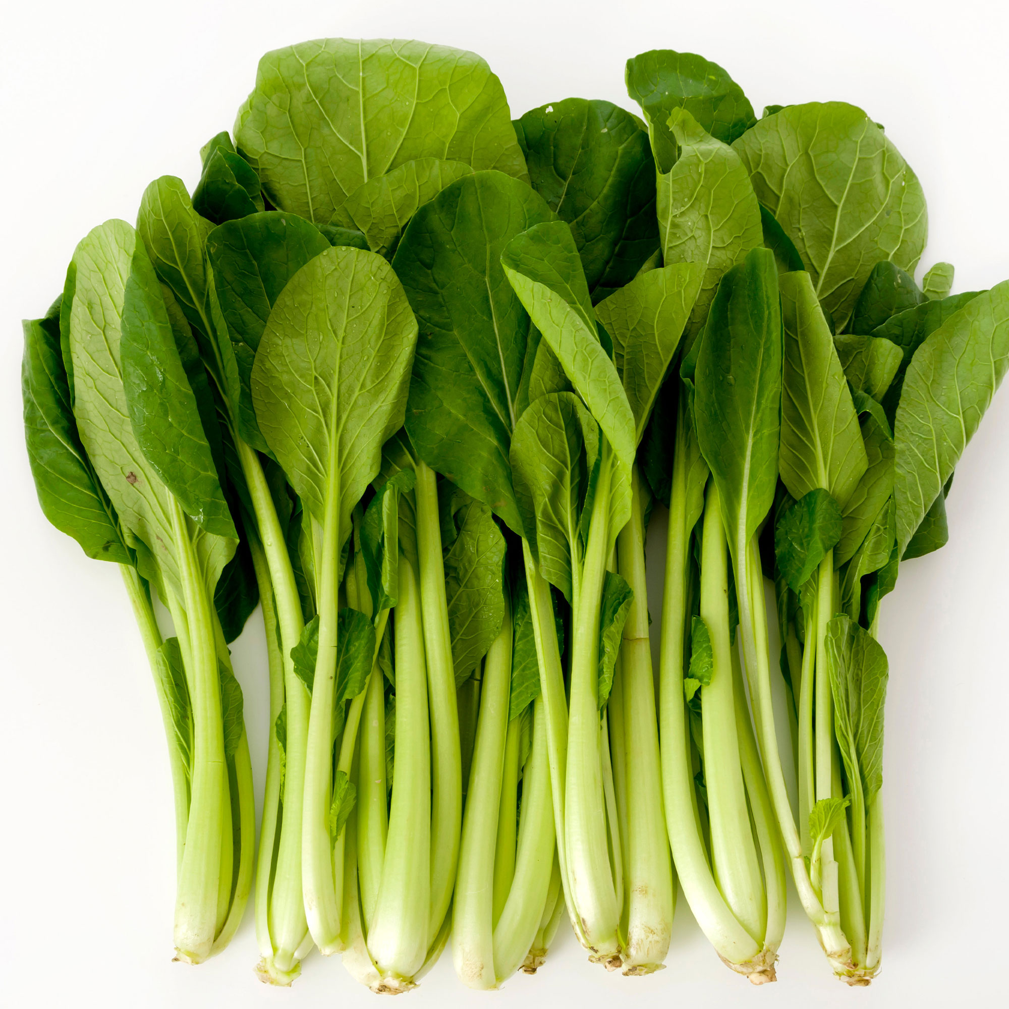 Komatsuna Mustard Seeds - Summer Fest - Hybrid -1 Lb ~169600 Seeds - Non-GMO, F1 Hybrid - Asian Garden Vegetable & Herb Gardenin