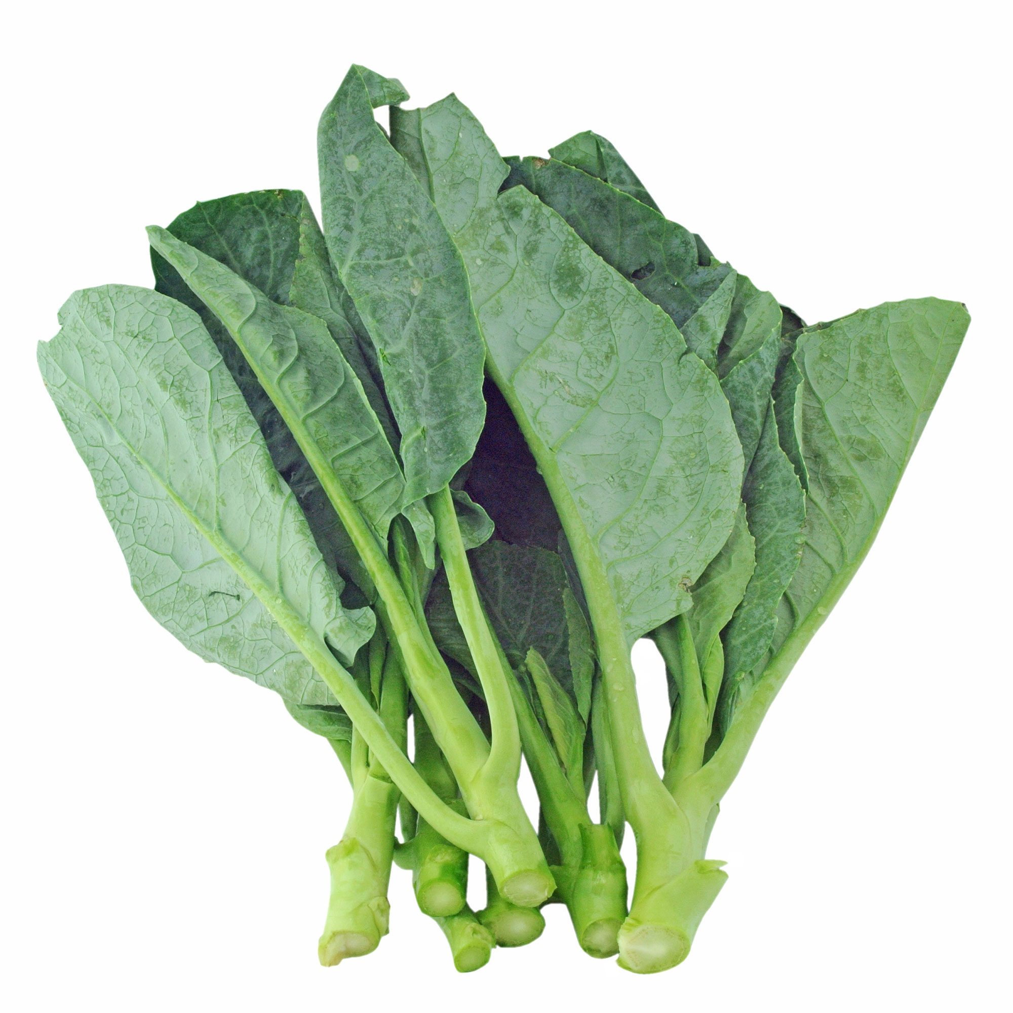 Chinese Broccoli Seeds - Wan Shen -1 Oz ~7550 Seeds - Non-GMO, Heirloom - Asian Garden Vegetable & Microgreens