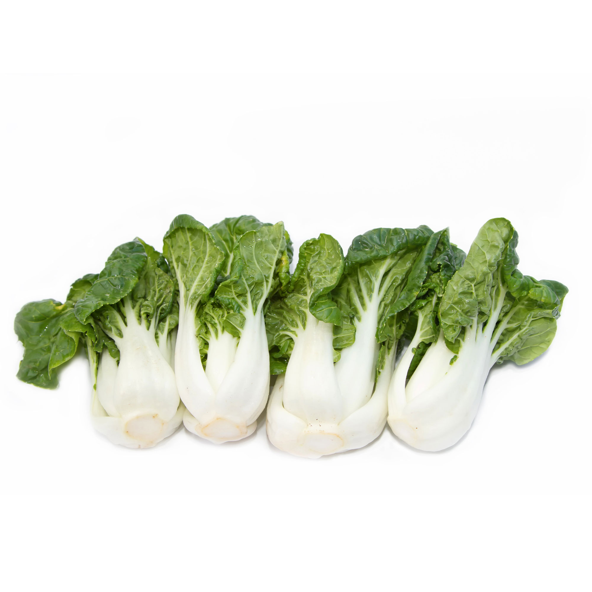 Cabbage Seeds - Pak Choi - Extra Dwarf -1 Lb ~160000 Seeds - Non-GMO, Heirloom - Asian Garden Vegetable & Microgreens