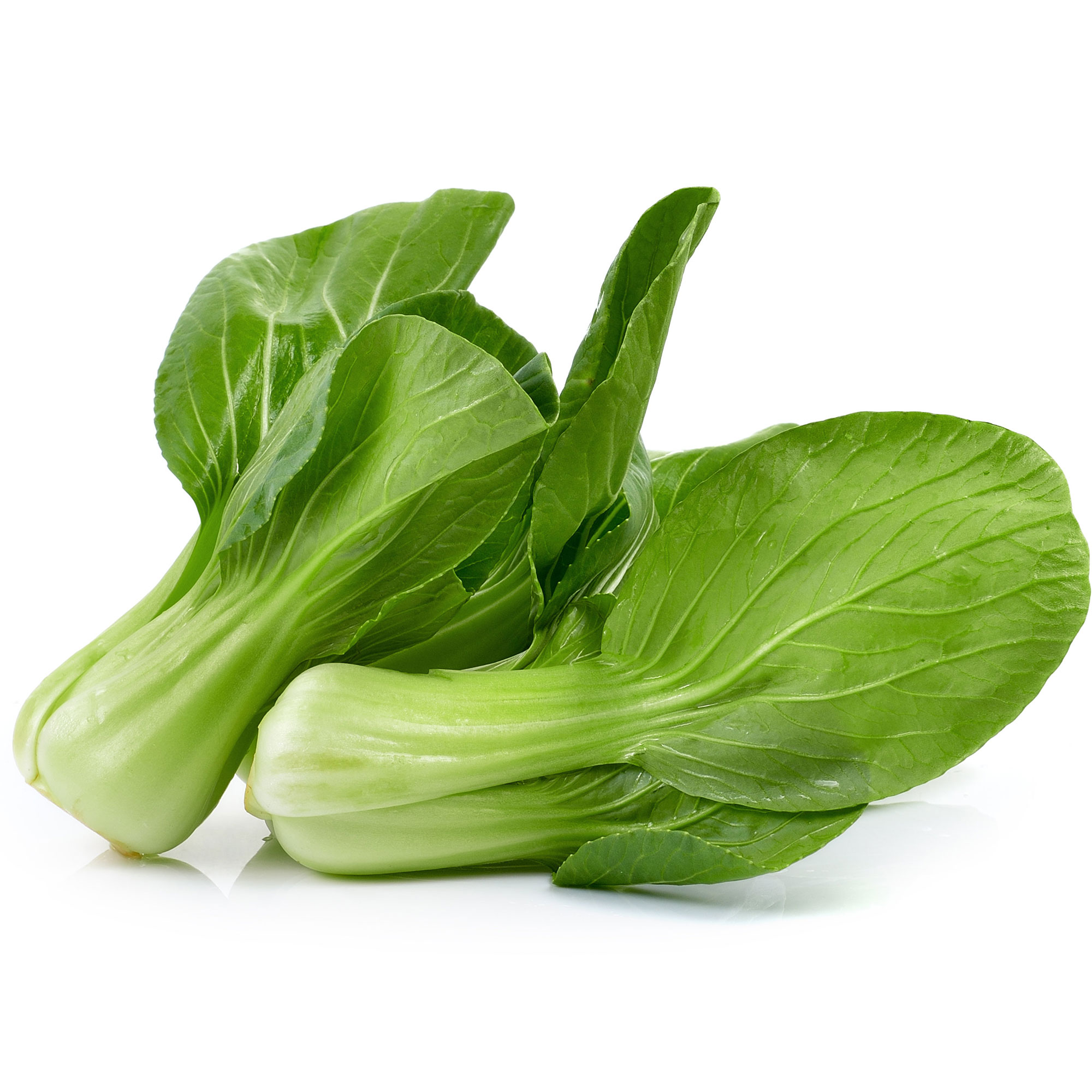 Cabbage Seeds - Pak Choi - San Fan - Hybrid -5 Lb Bulk ~800000 Seeds - Non-GMO, F1 Hybrid - Asian Garden Vegetable