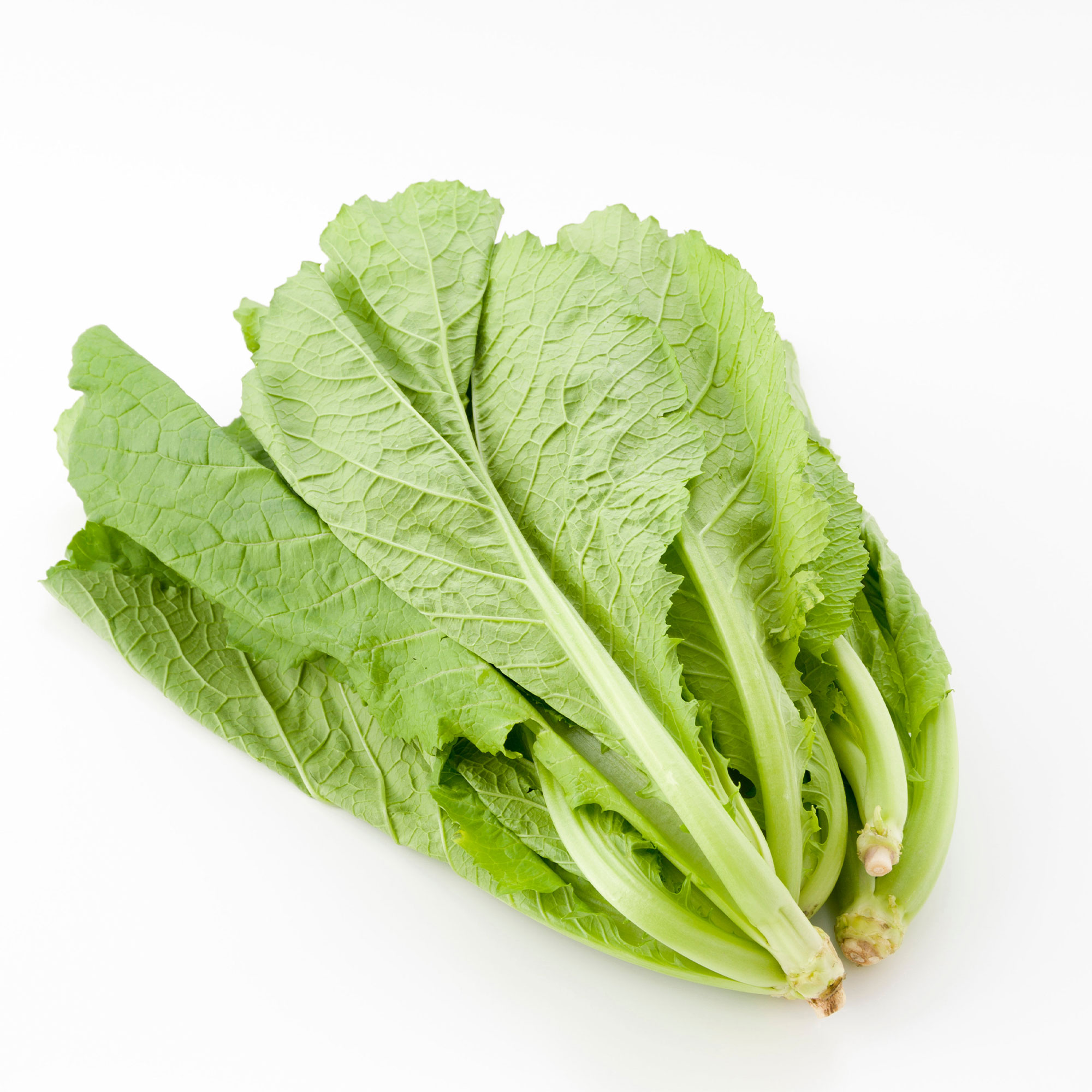 Turnip Seeds - Nozawana -1 Lb ~144000 Seeds - Non-GMO, Heirloom - Asian Garden Vegetable & Microgreens