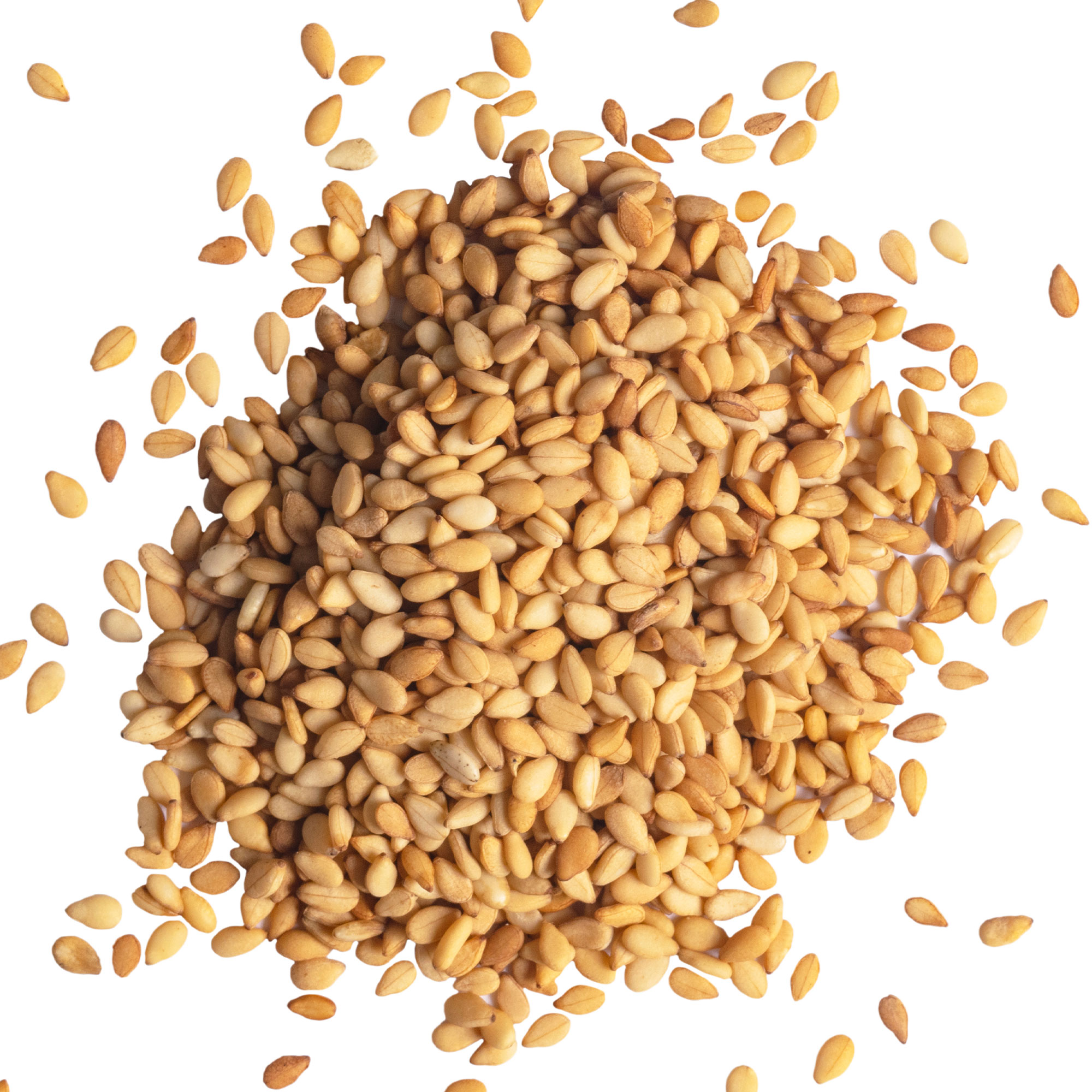 Sesame Seeds - Tan - Kingoma -5 Lb Bulk ~1040000 Seeds - Non-GMO, Heirloom - Specialty Seeds