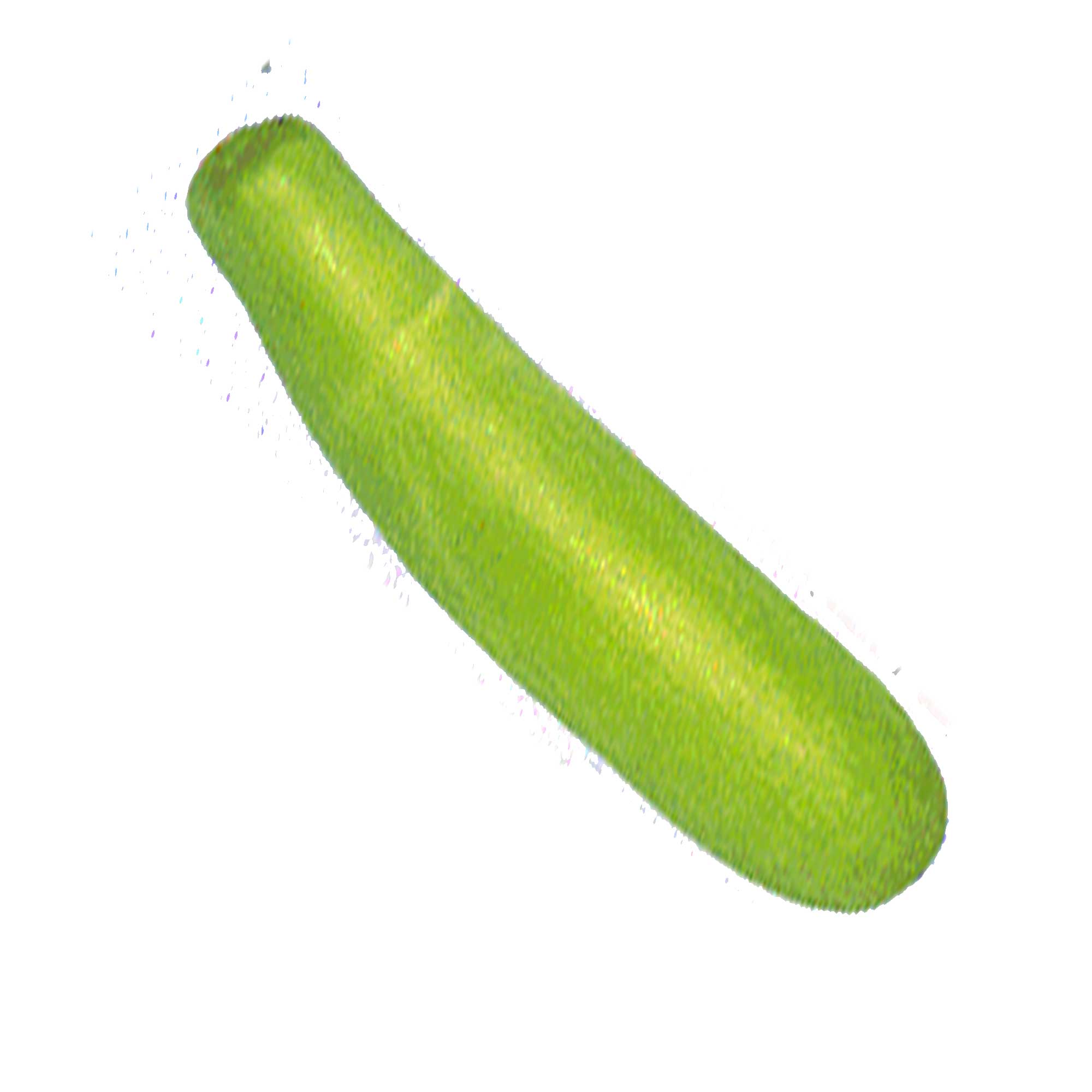 Gourd Seeds, Bottle - Calabash Long -4 Oz ~3360 Seeds - Non-GMO, Heirloom - Vegetable Garden