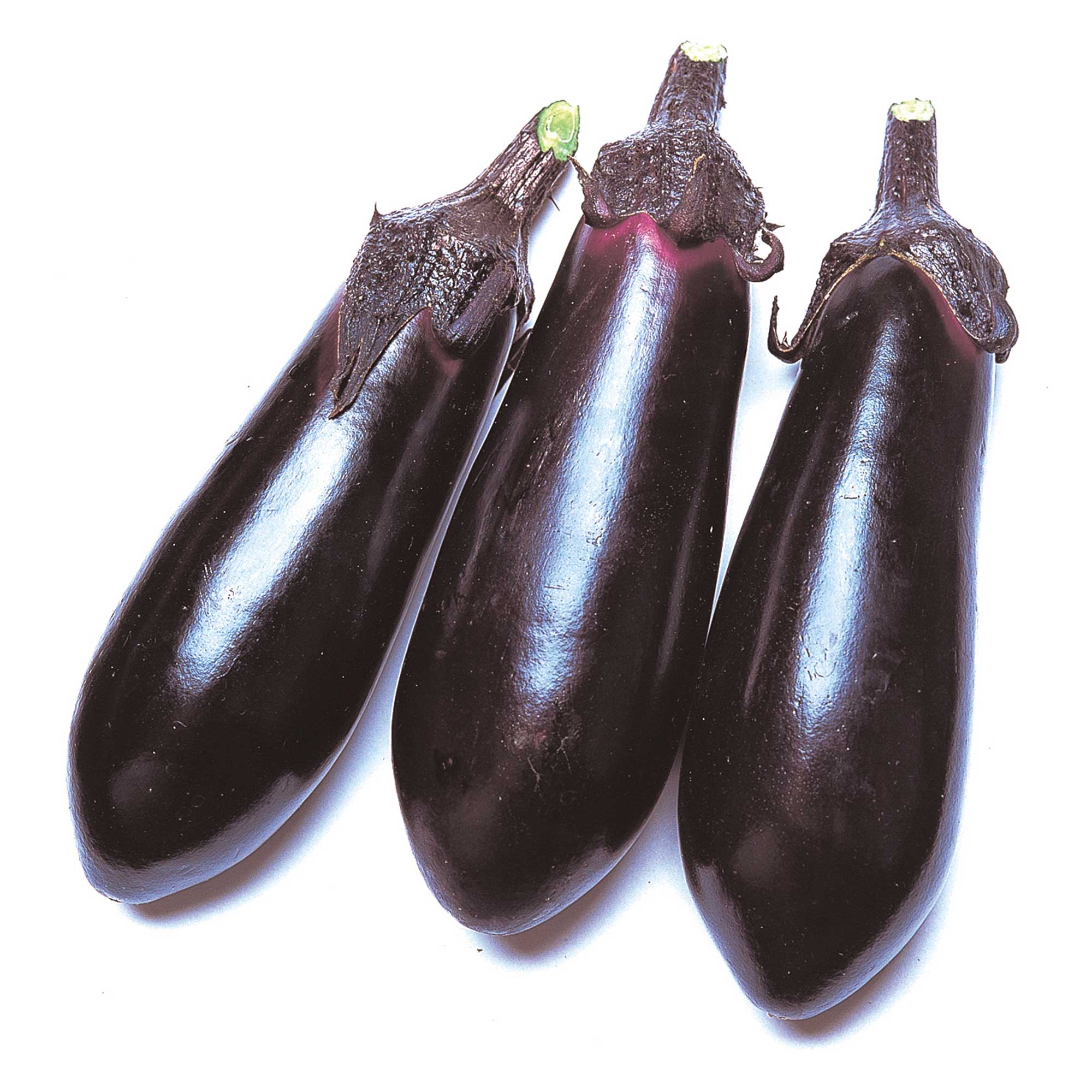 Eggplant Seeds -Money Maker 2 - Hybrid -4 Oz ~25200 Seeds - Non-GMO, F1 Hybrid - Asian Garden Vegetable