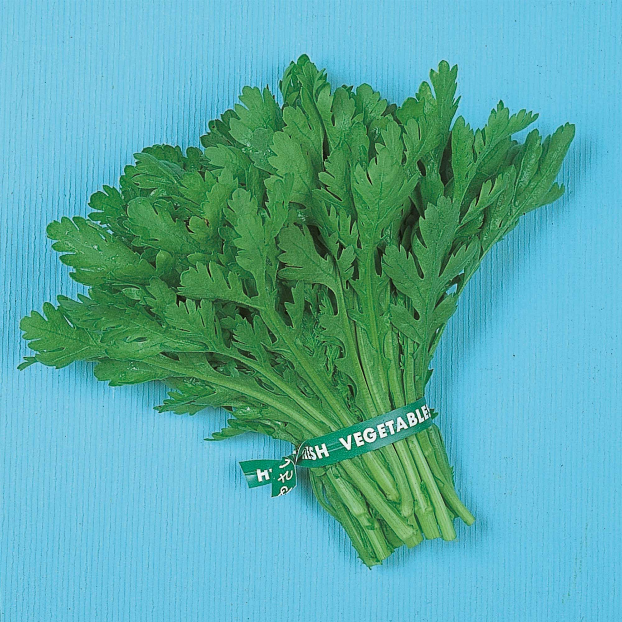 Chrysanthemum Greens Seeds - Garland Round Leaf -4 Oz ~33600 Seeds - Non-GMO, Heirloom - Asian Edible Flower & Microgreens