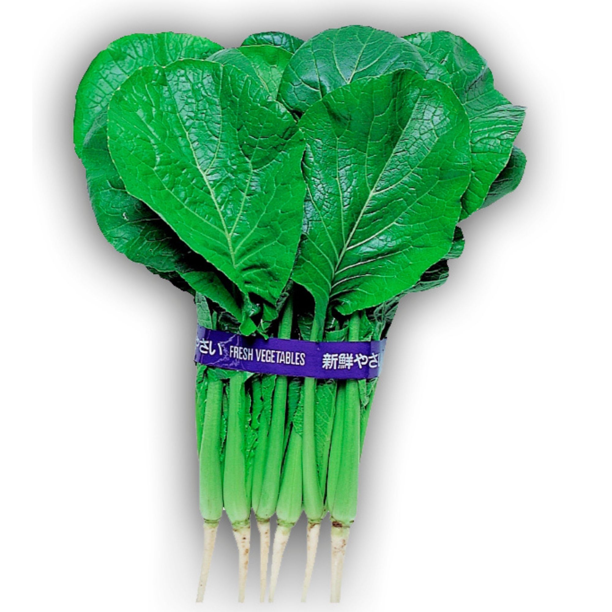 Japanese Komatsuna Mustard - 5 Lb Bulk ~800,000 Seeds - Farm & Garden