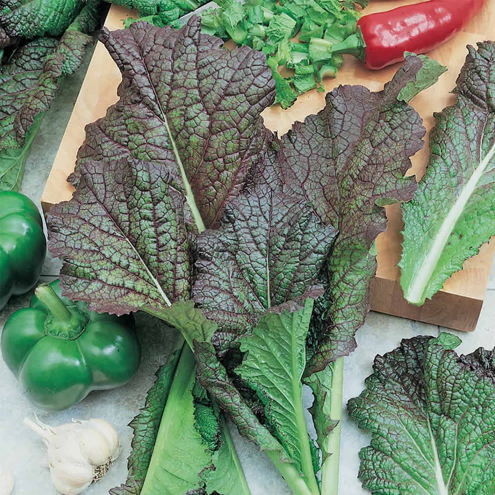 Seeds: Red Giant Mustard: 1 Lb-Non-GMO Seeds for Herb Gardening - Buy Non-GMO Brassica juncea Farm & Gardening Seeds Online