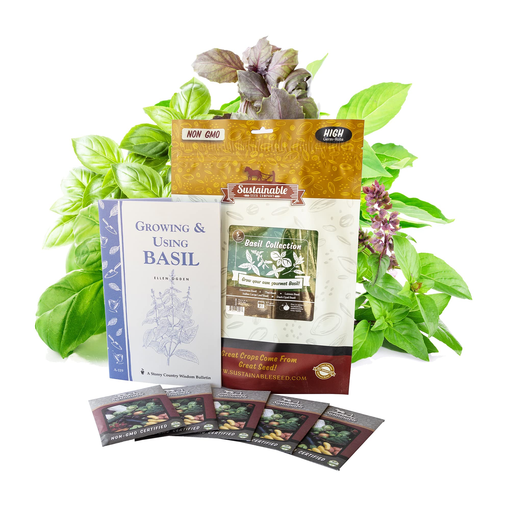 Deluxe Basil Seeds Collection - 5 Varieties Seeds - Non-GMO, Heirloom - Buy Non-GMO Ocimum sp. Farm & Gardening Seeds Online