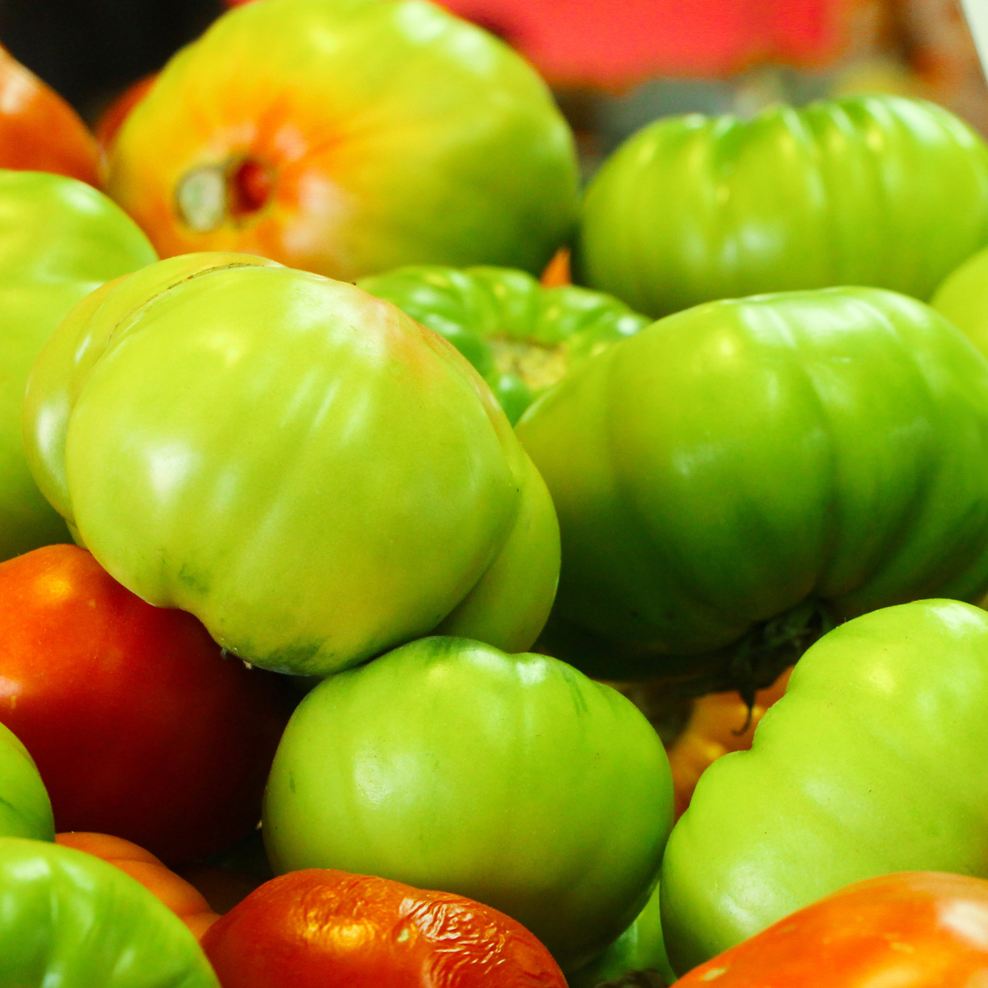 Containers Choice Green F1 Hybrid Tomato Seeds - 0.25 Oz - Garden - Buy Non-GMO Lycopersicon esculentum Farm & Gardening Seeds O