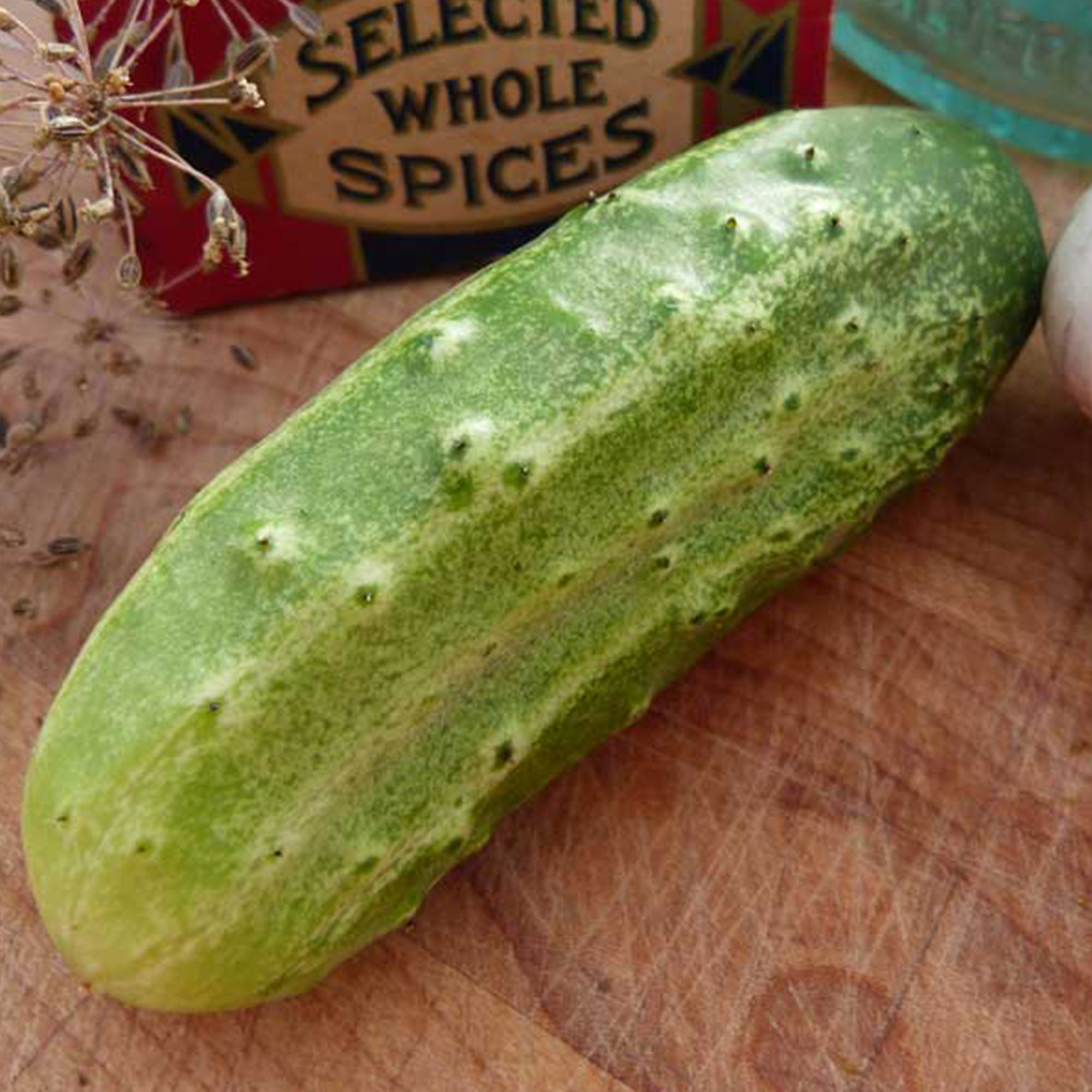 Organic National Pickling Cucumber Seeds - 25 Lb Bulk - Farm & Garden - Buy Non-GMO Cucumis sativus Farm & Gardening Seeds Onlin
