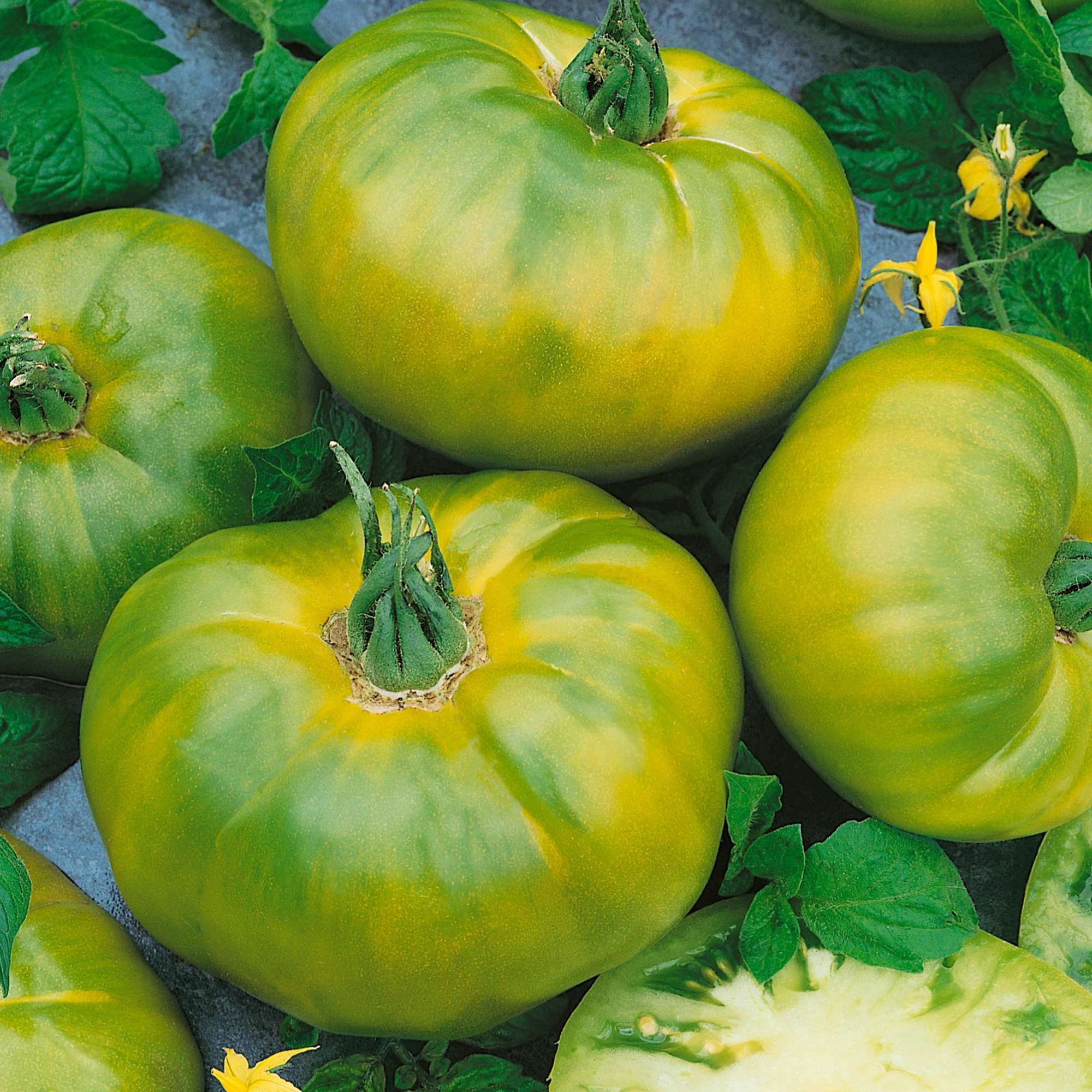 Chef's Choice Green F1 AAS Hybrid Tomato Seeds - 0.25 Oz - Garden - Buy Non-GMO Lycopersicon esculentum Farm & Gardening Seeds O