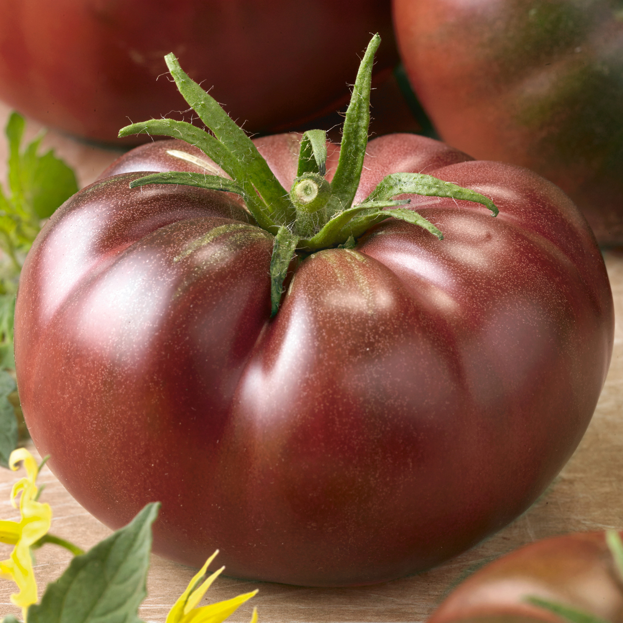 Chef's Choice Black F1 AAS Hybrid Tomato Seeds - 1 Oz - Gardening - Buy Non-GMO Lycopersicon esculentum Farm & Gardening Seeds O