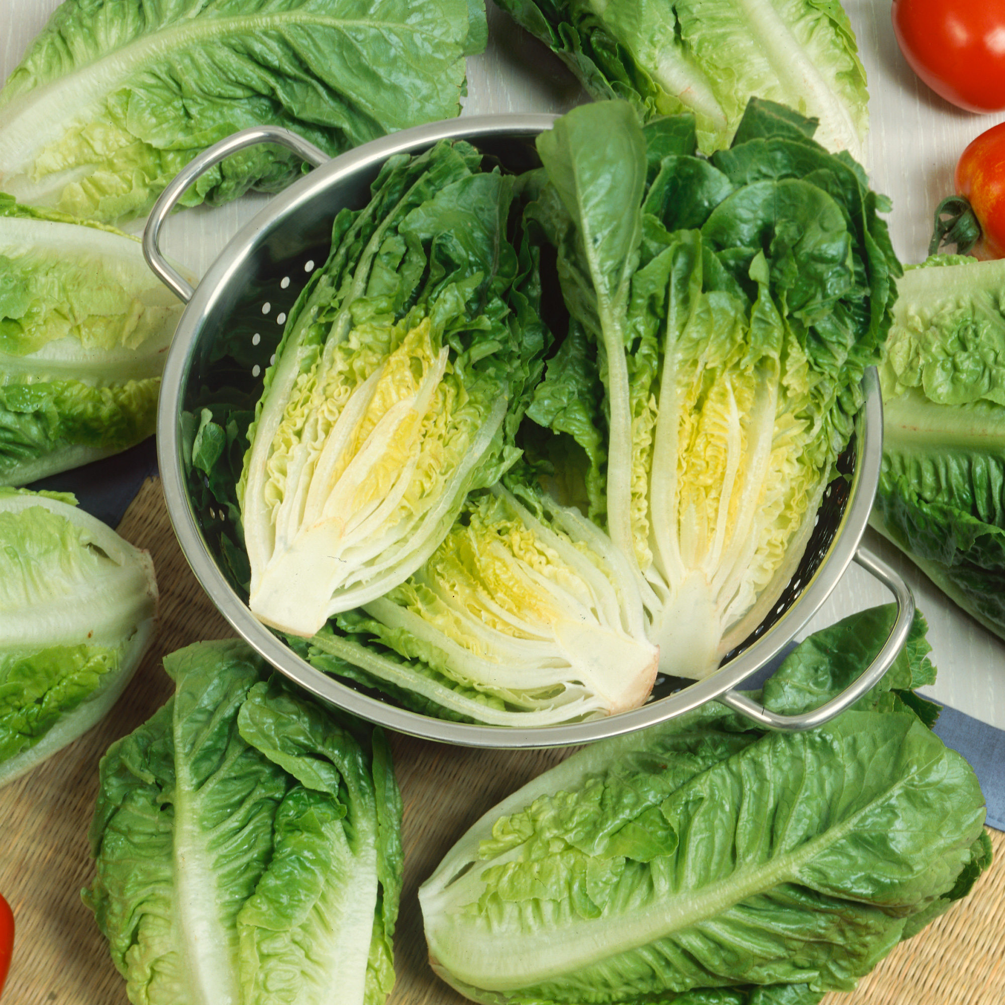 Organic Little Ceasar Romaine Lettuce Seeds - 1 Oz - Garden, Non-GMO - Buy Non-GMO Lactuca sativa Farm & Gardening Seeds Online