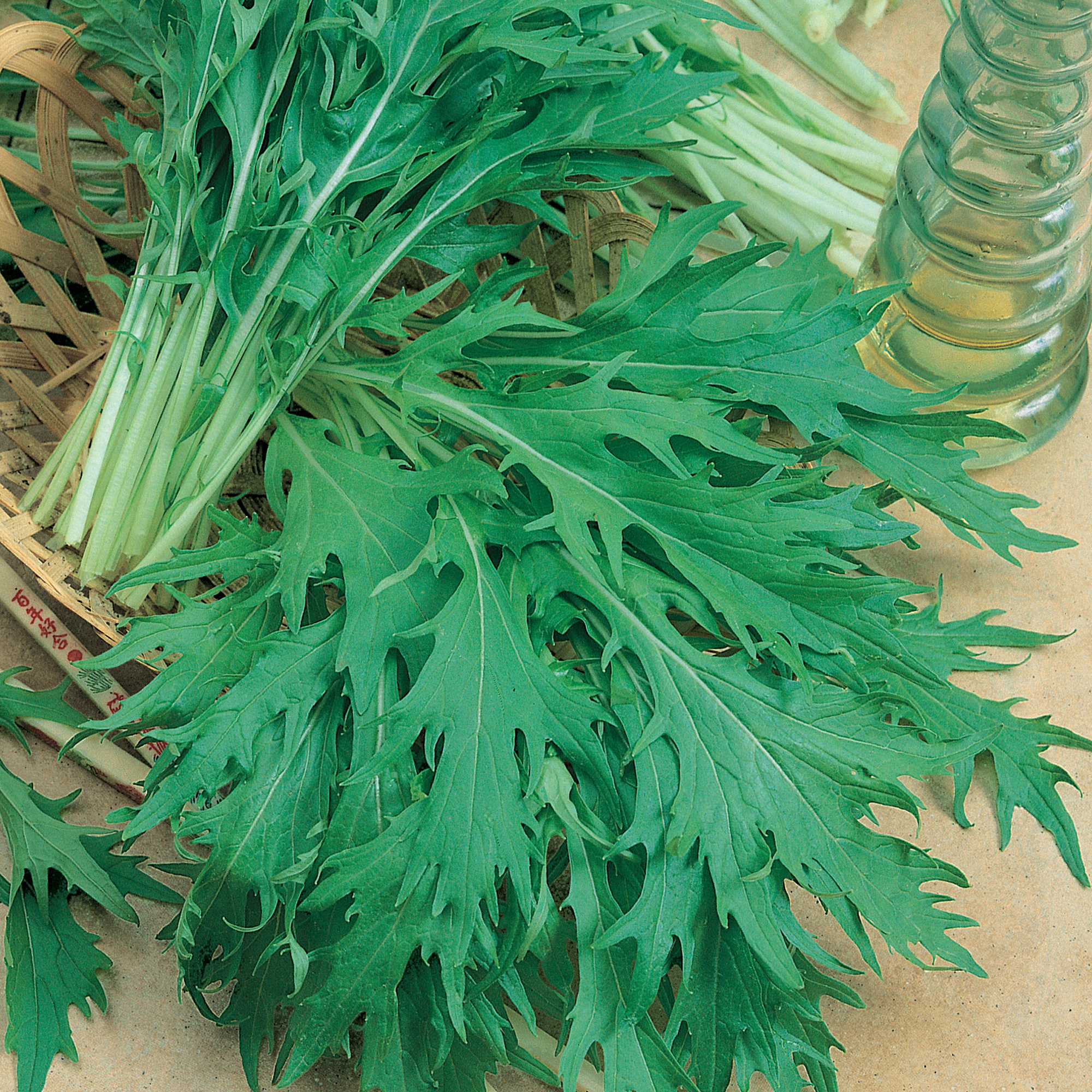 Organic Mizuna Mustard Seeds - 1 Lb - Garden, Microgreens, Heirloom - Buy Non-GMO Brassica japonica Farm & Gardening Seeds Onlin