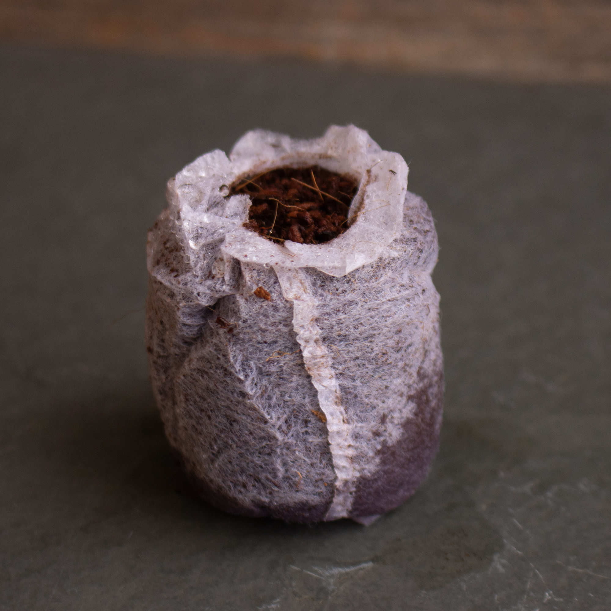 Pure Coconut Coir Netted Seed Starting Pellets - 42mm - Q 250 - Soil - Garden, Nursery, Greenhouse Seedling Starting Discs - Soi