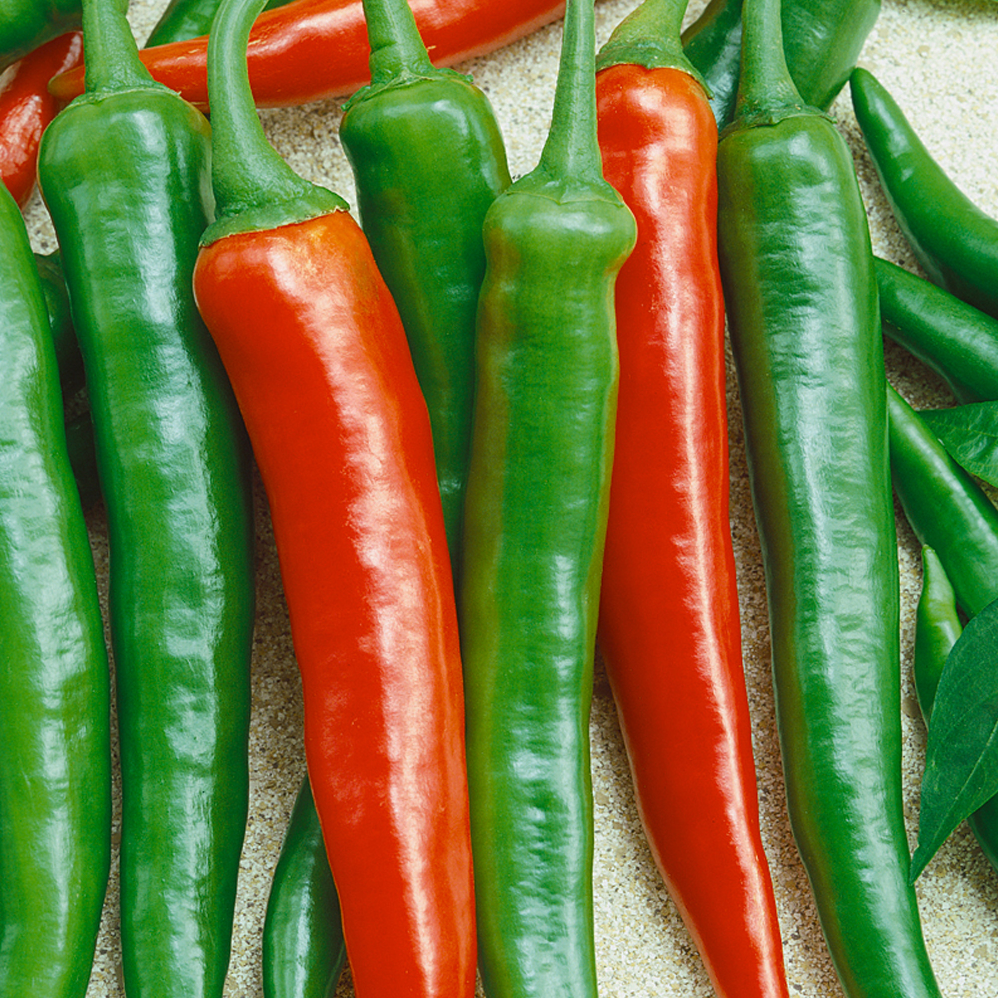 Thai Scorpion F1 Hybrid Hot Pepper Seeds - 1 Lb - Vegetable Garden