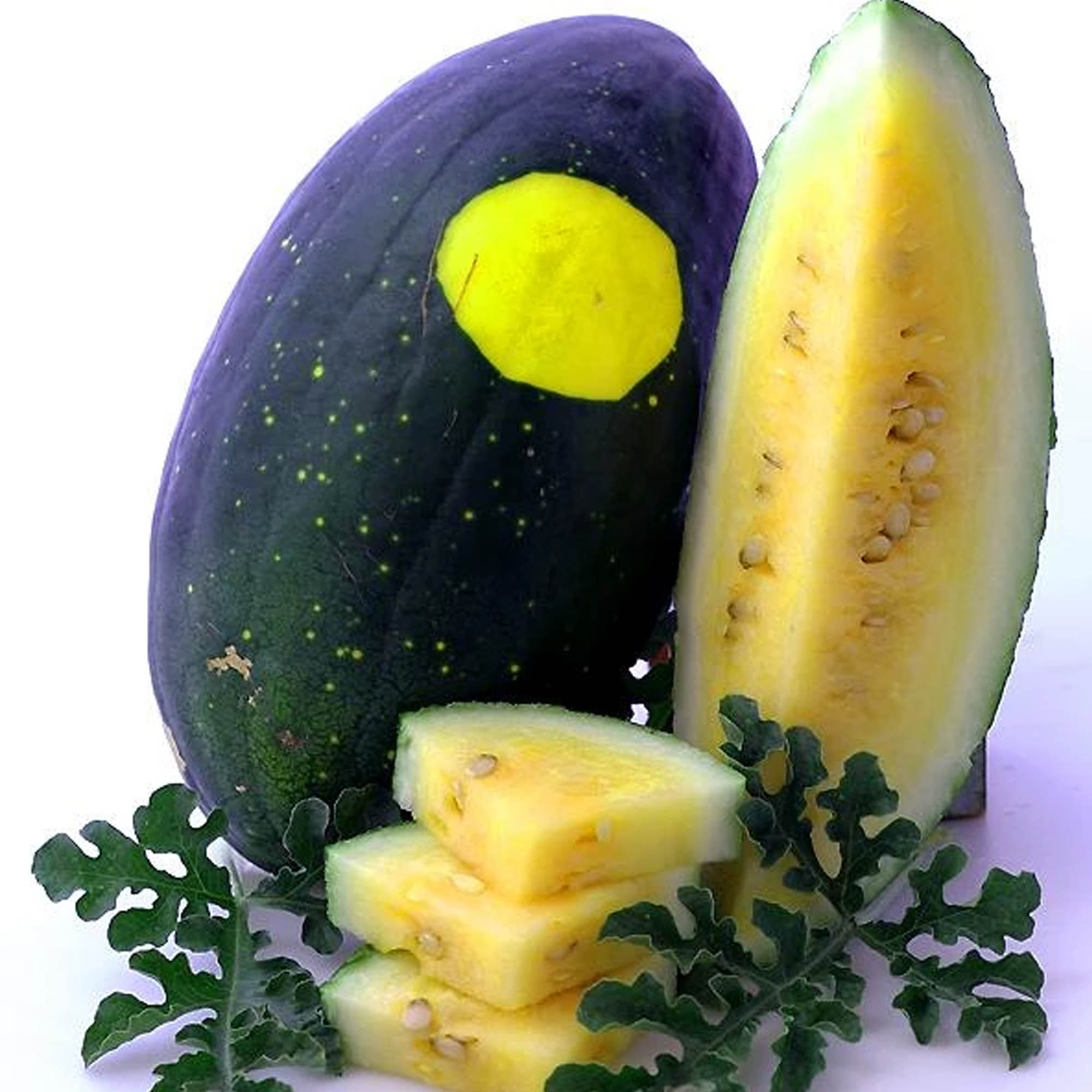 Organic Moon & Stars Yellow Watermelon Seeds - 1 Lb - Gardening - Buy Non-GMO Citrullus lanatus Farm & Gardening Seeds Online
