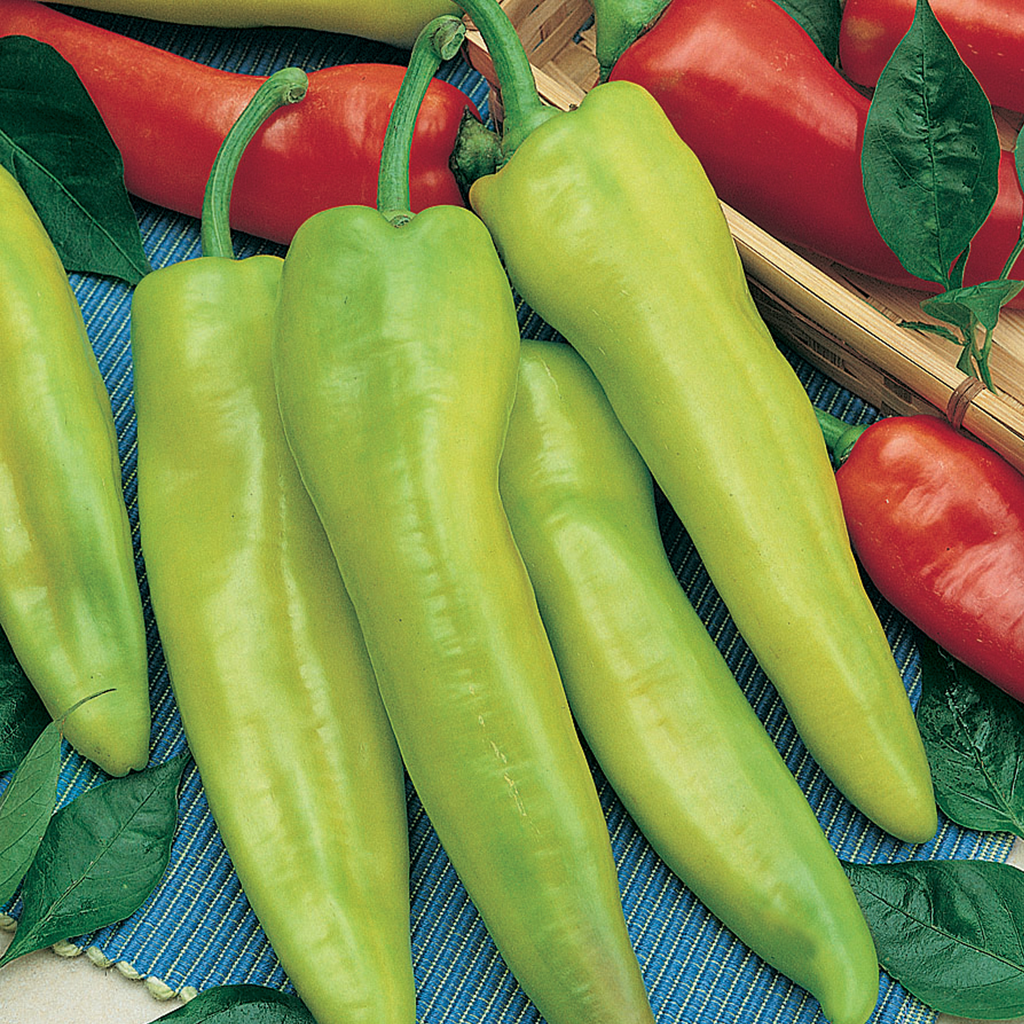 Geronimo F1 Hybrid Hot Pepper Seeds - 0.25 Oz - Gardening, Non-GMO